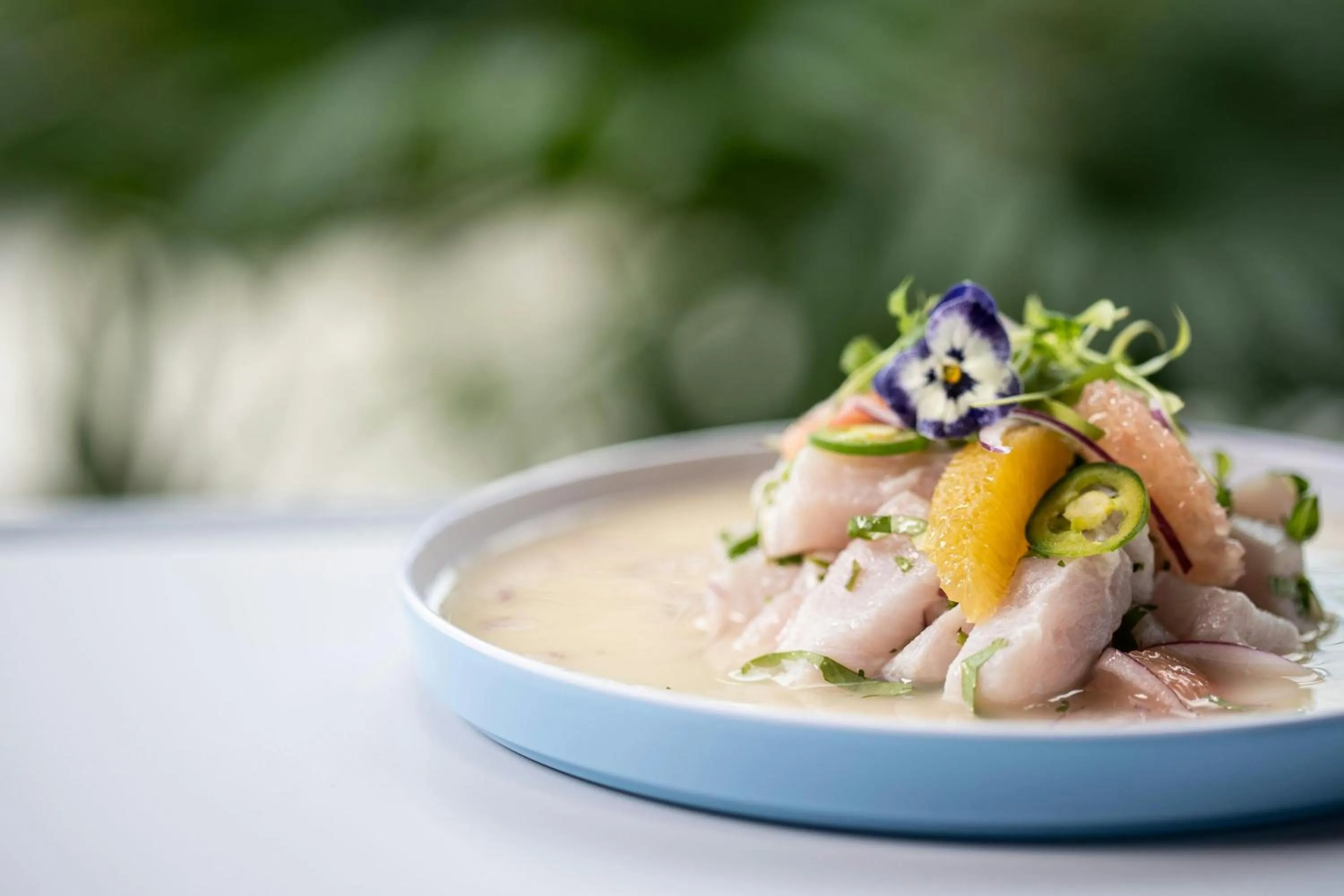 Restaurant/places to eat in The Belgrove Resort & Spa, West Palm Beach, Autograph Collection