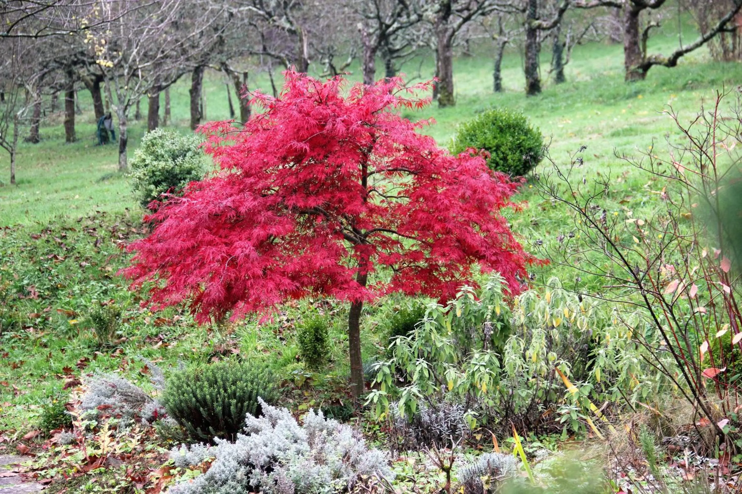 Garden in La Hulotte