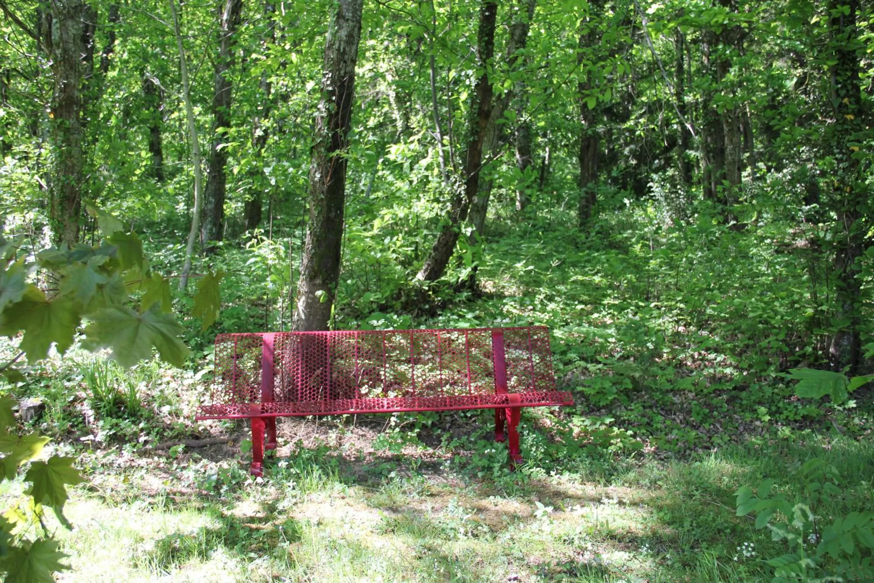 Garden in La Hulotte