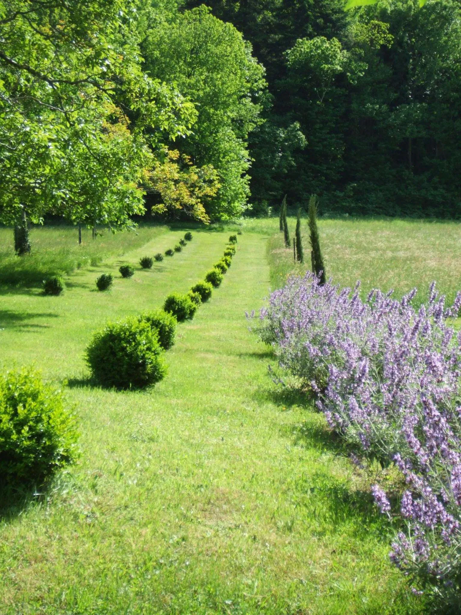 Garden in La Hulotte