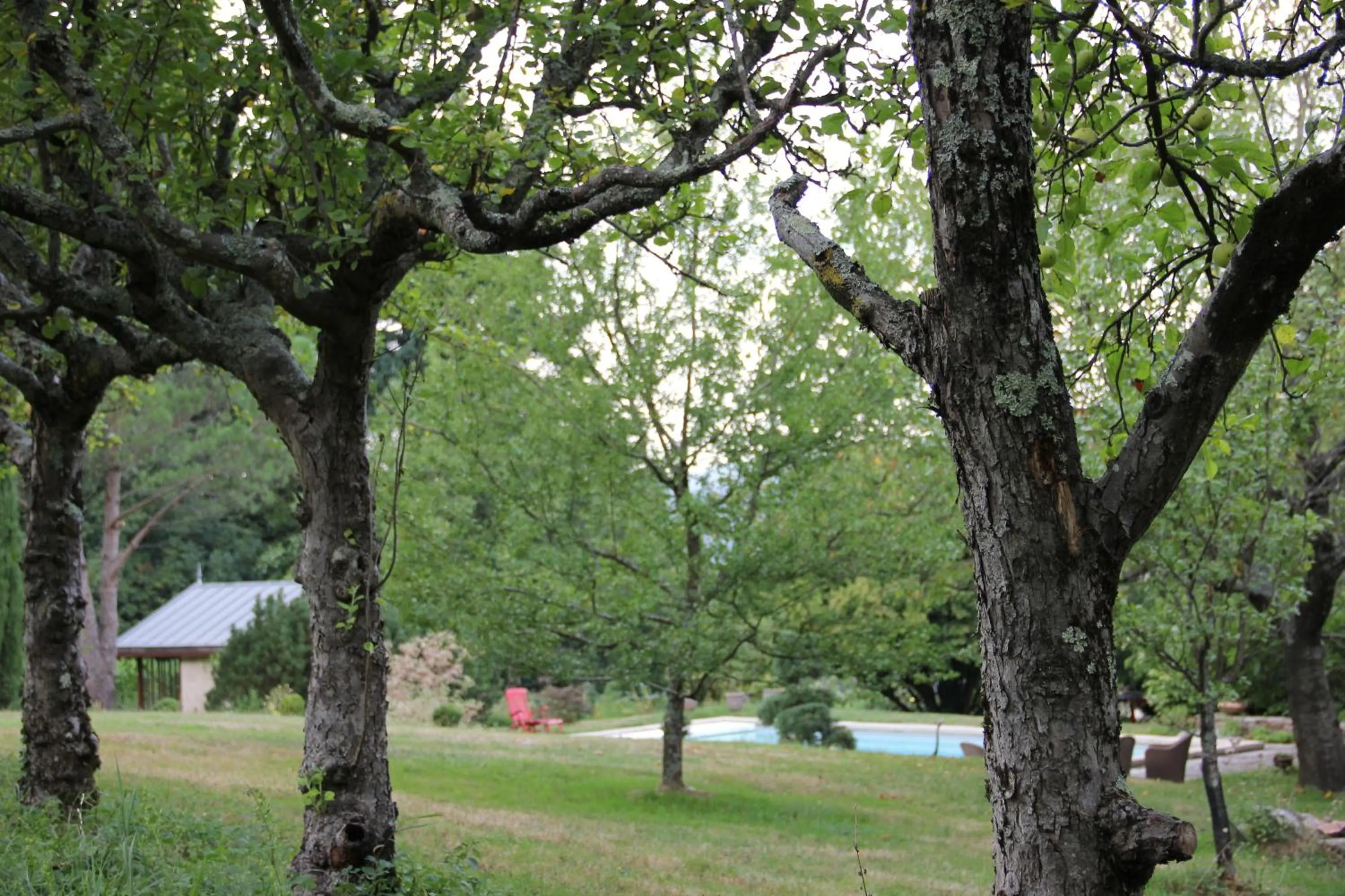 Garden in La Hulotte