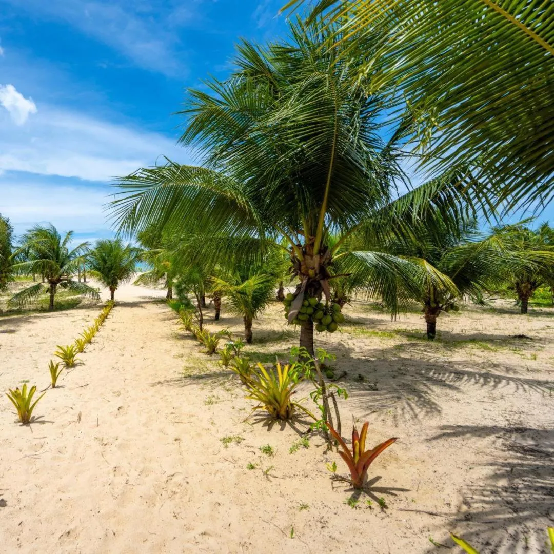 Garden view in Hara Pousada e SPA