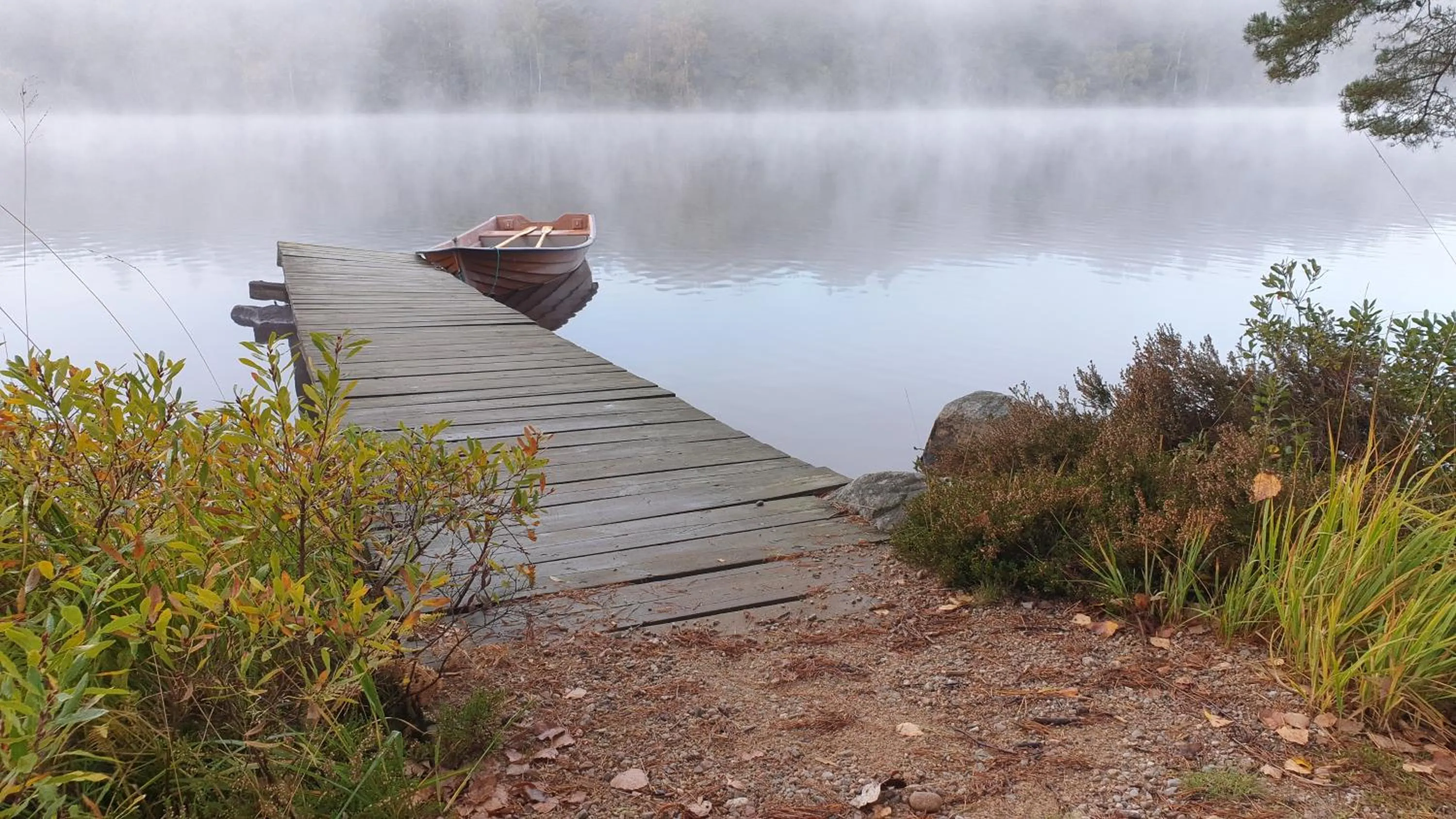 Långasjönäs Camping & Stugby