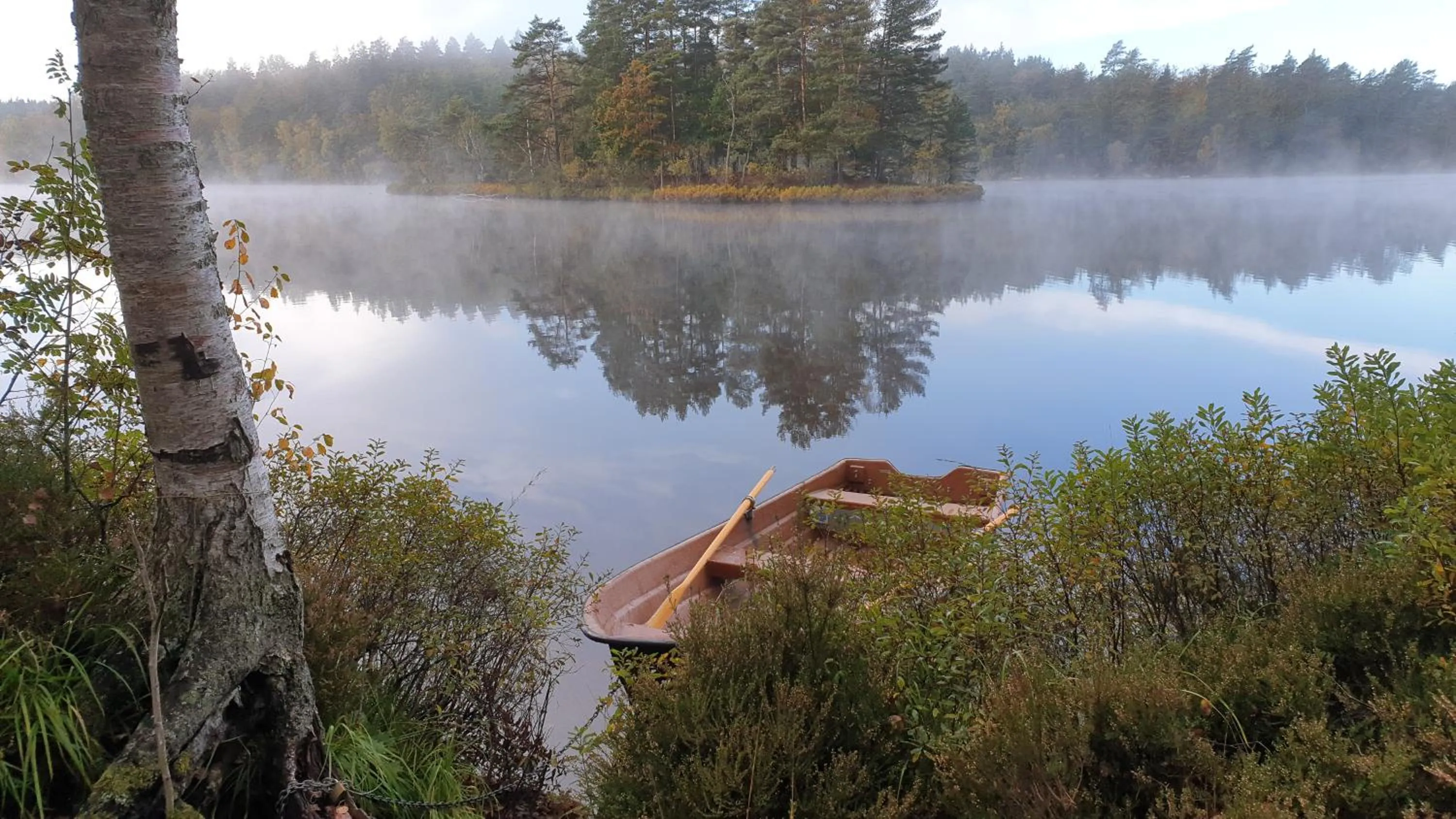 Långasjönäs Camping & Stugby