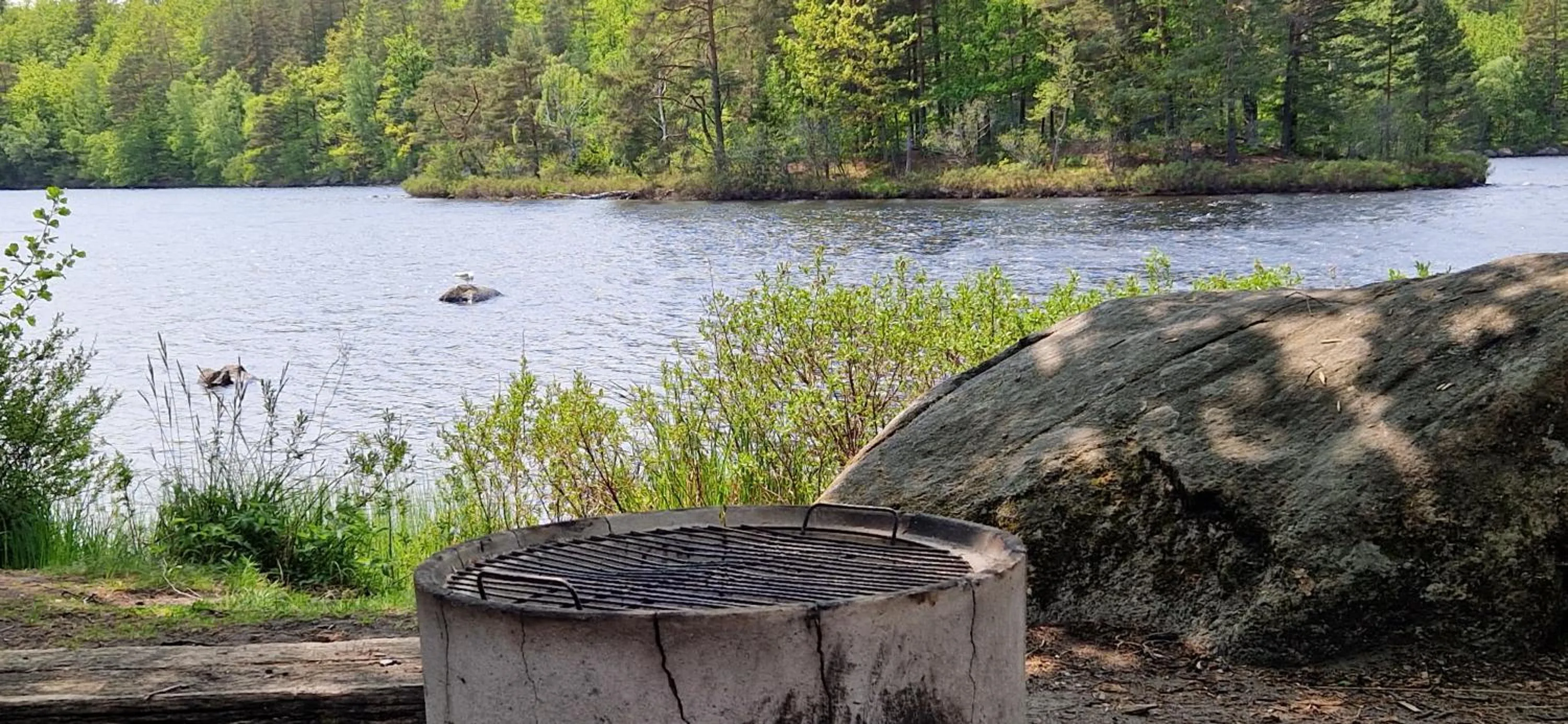 Långasjönäs Camping & Stugby