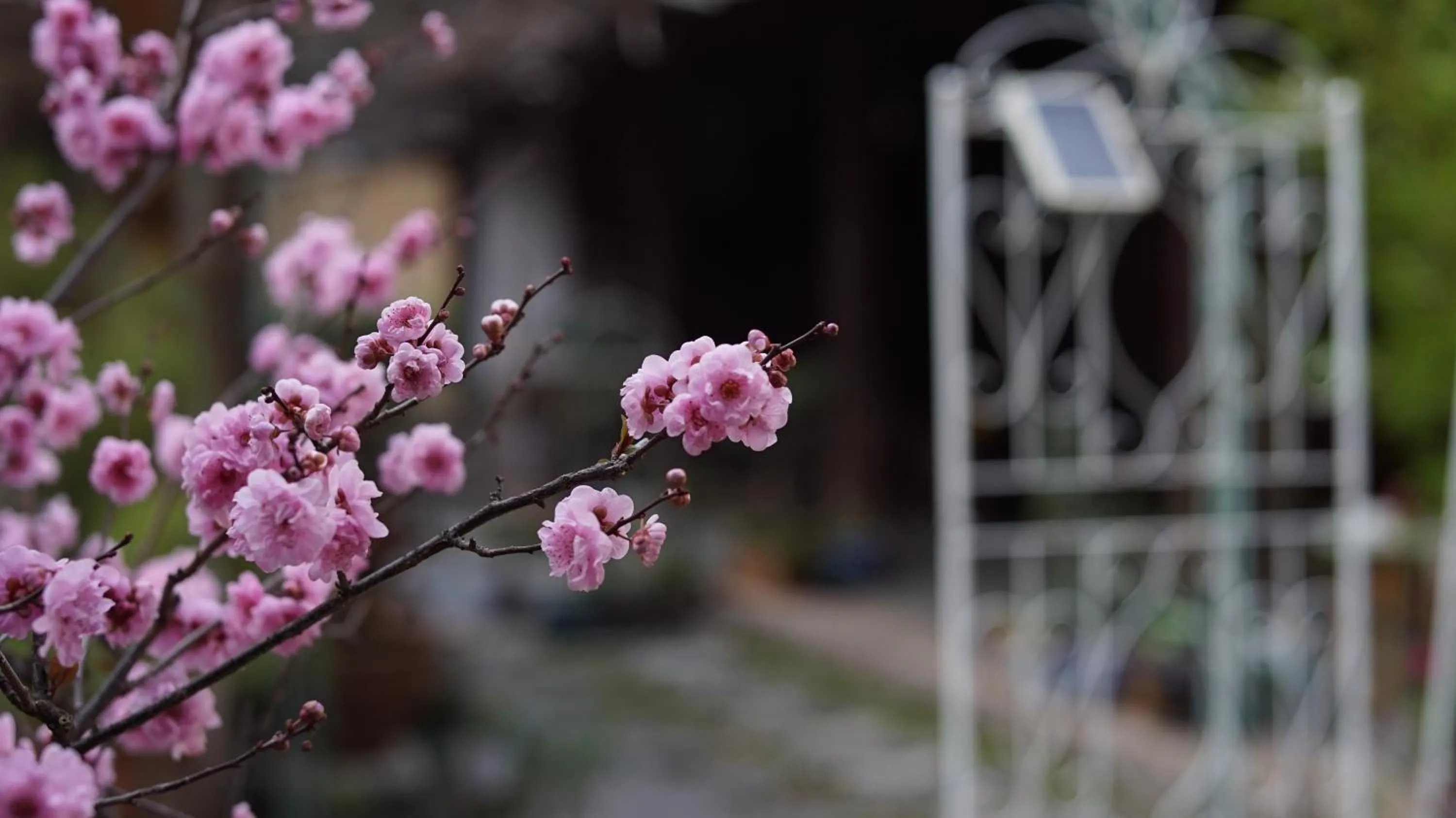 Property building in Tuo Tuo Guest House