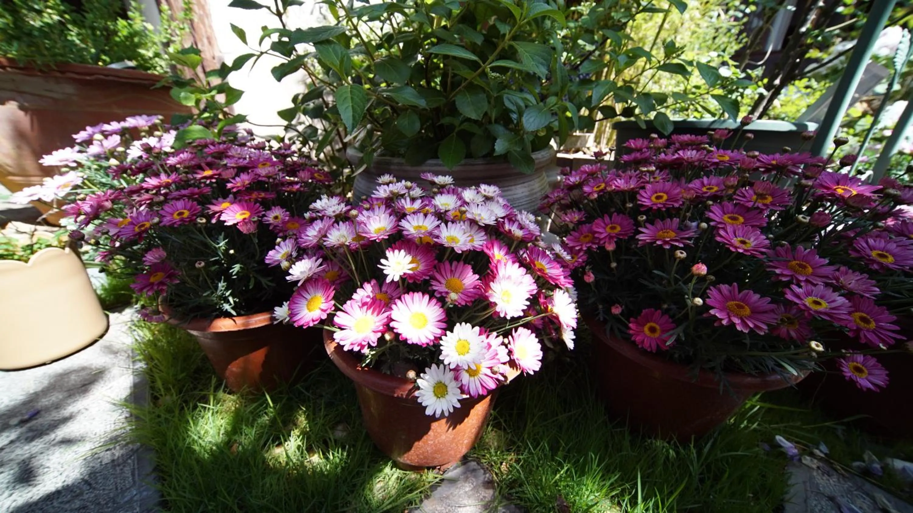 Property building in Tuo Tuo Guest House