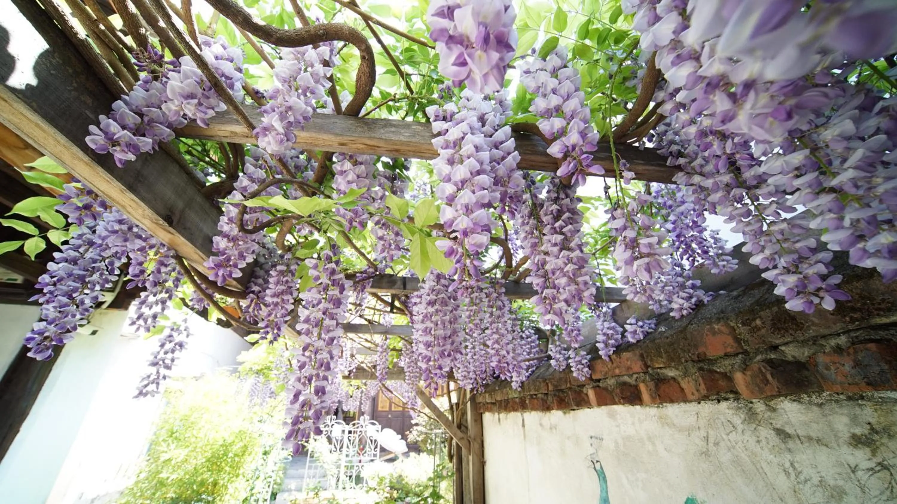 Property building in Tuo Tuo Guest House