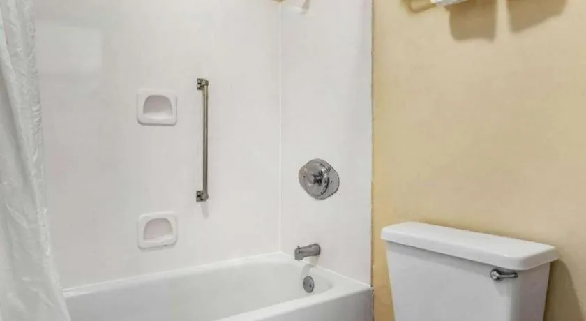 Econo Lodge Inn & Suites Forest