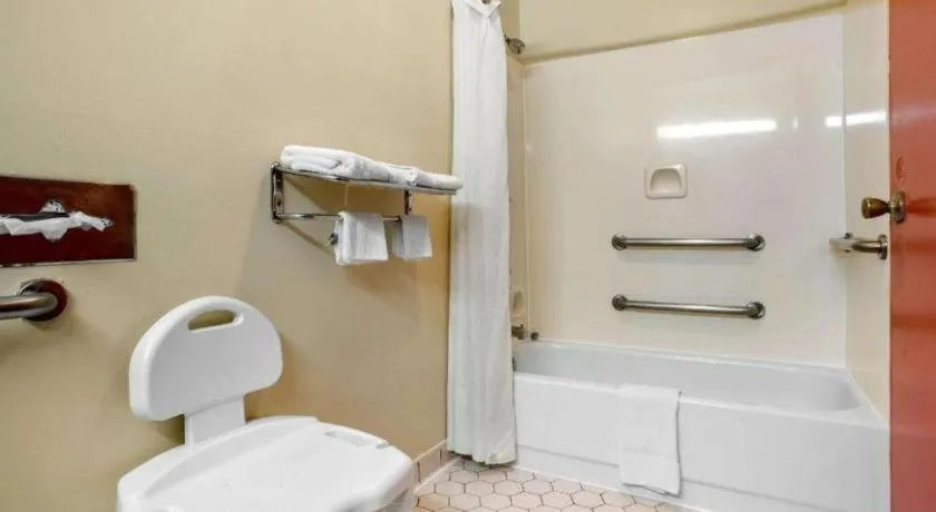 Econo Lodge Inn & Suites Forest