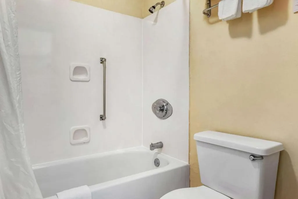 Econo Lodge Inn & Suites Forest