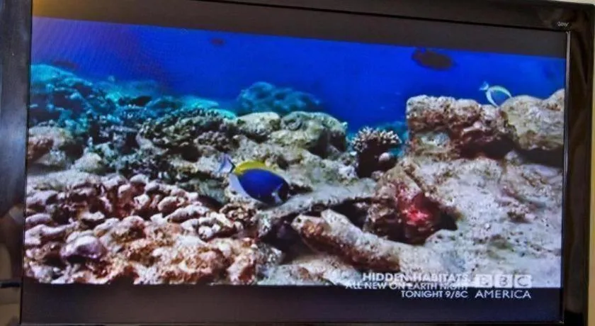 Marina Tower Waikiki