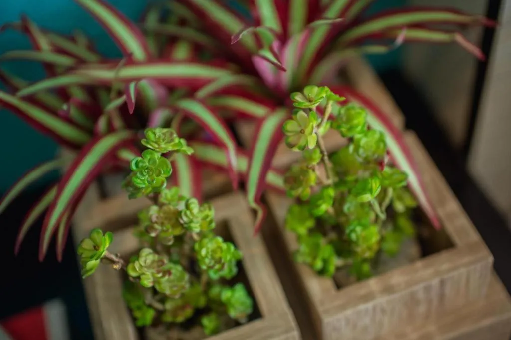 Anchor Boutique House