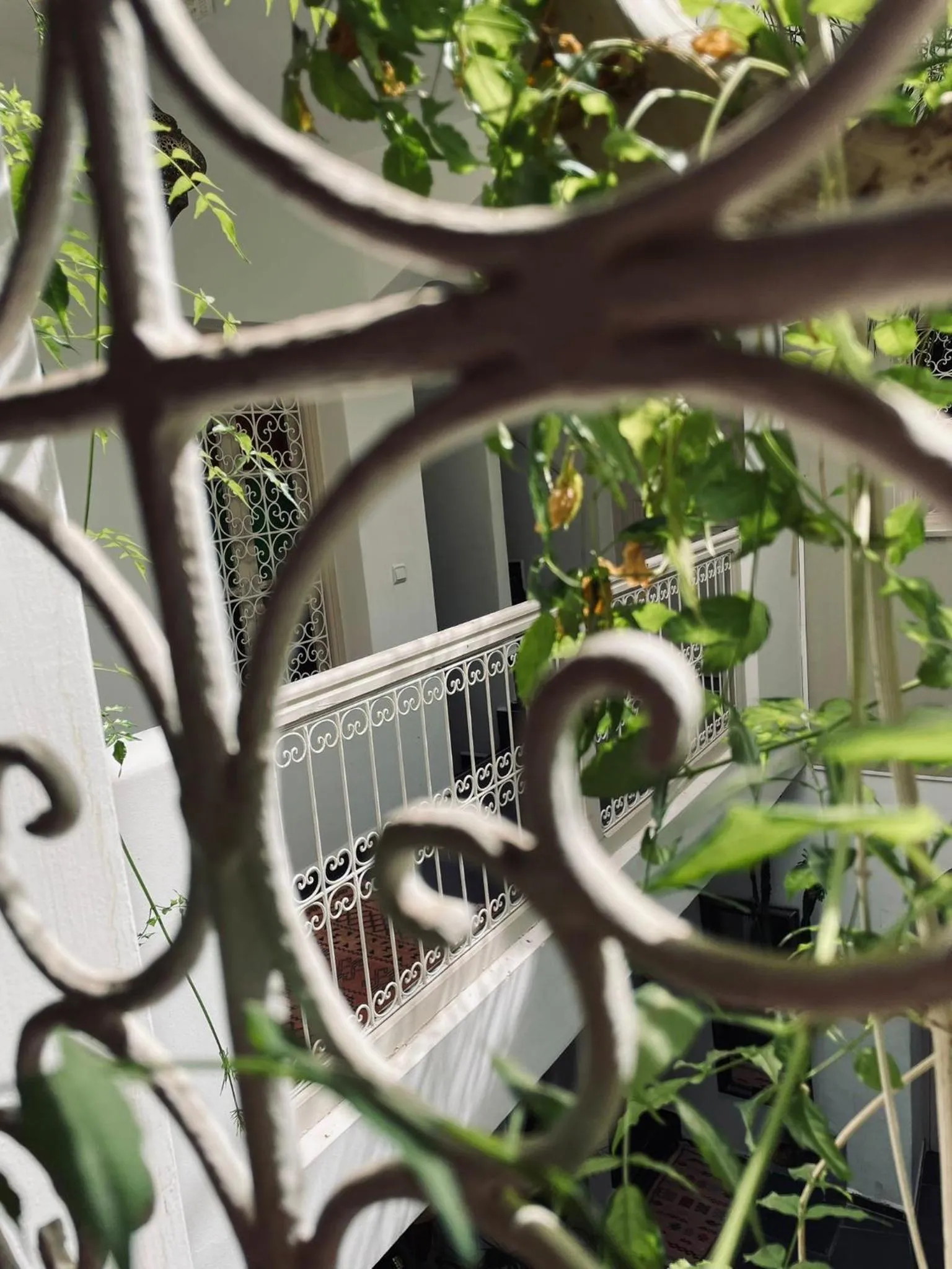 Diamant La Ville Rouge