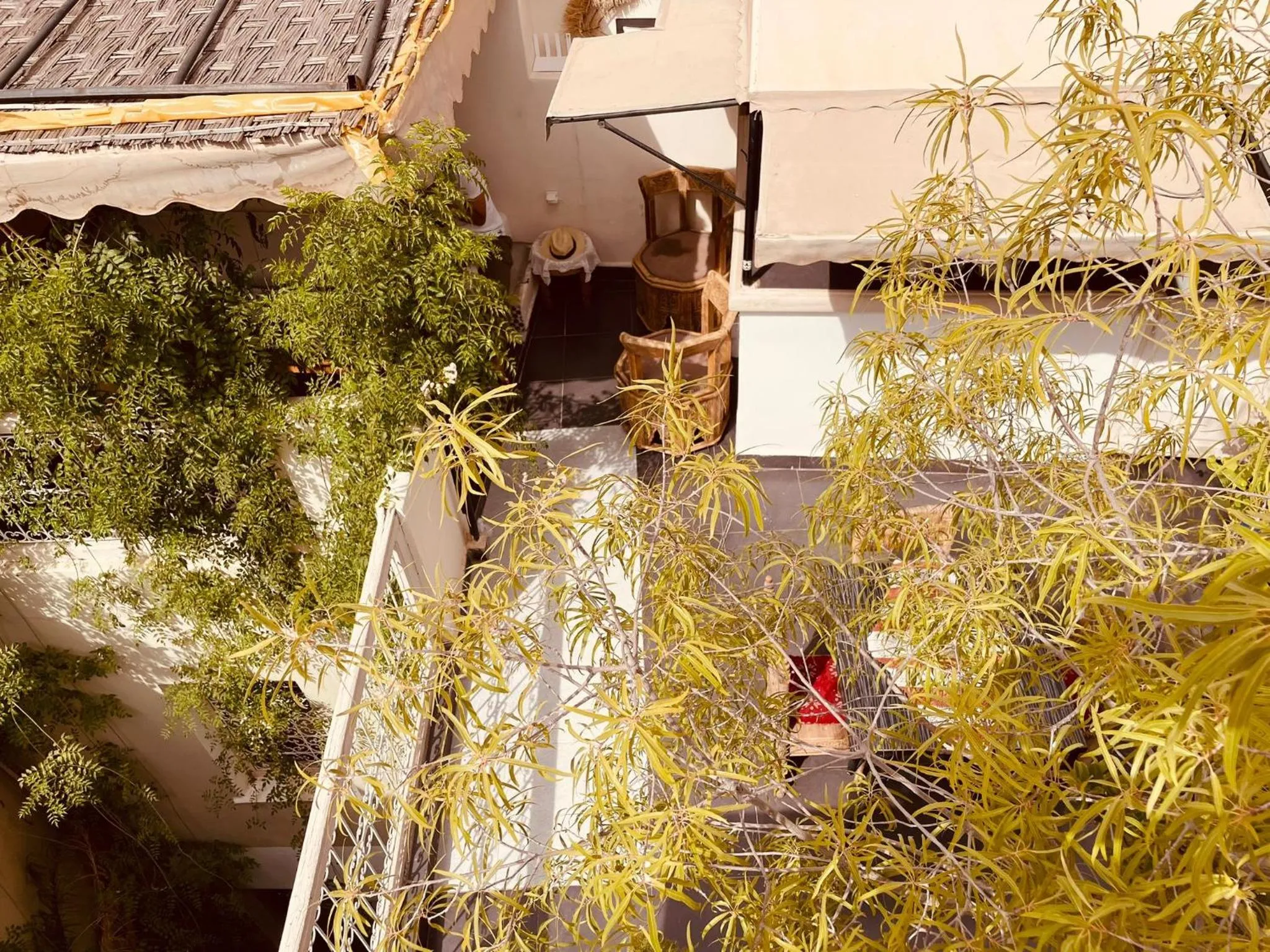 Garden in Diamant La Ville Rouge