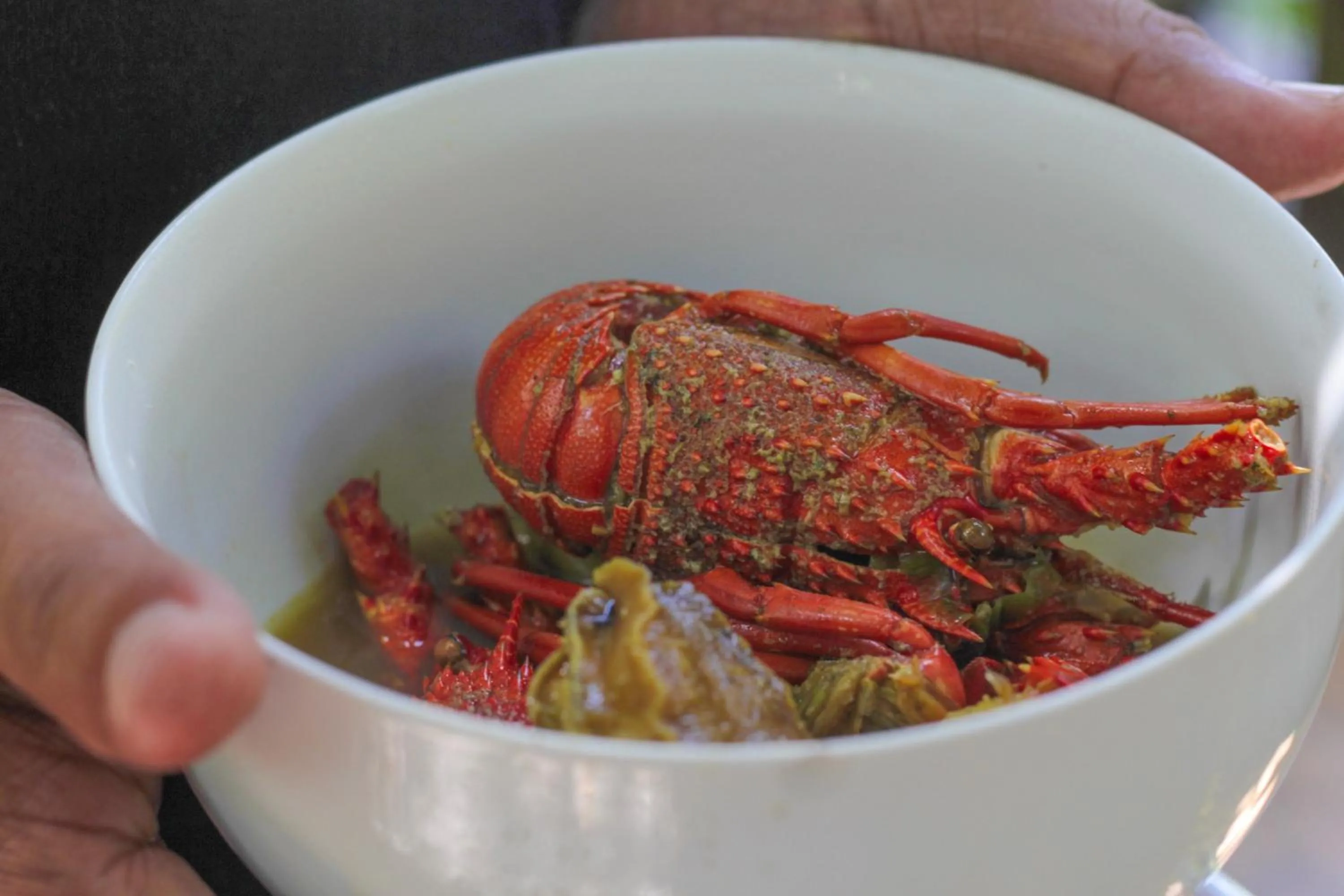BBQ facilities in The Galuh Pekutatan