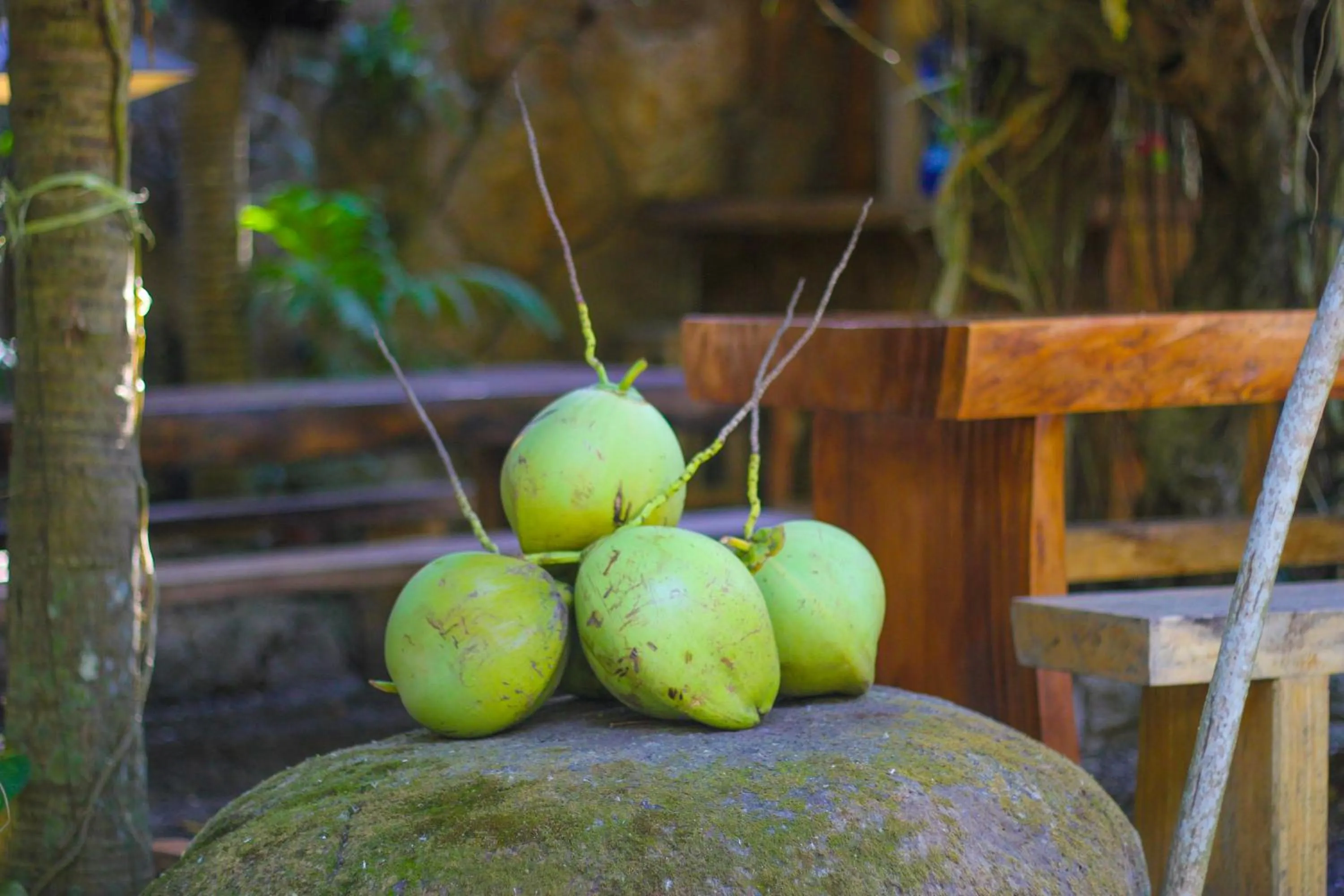 Food in The Galuh Pekutatan