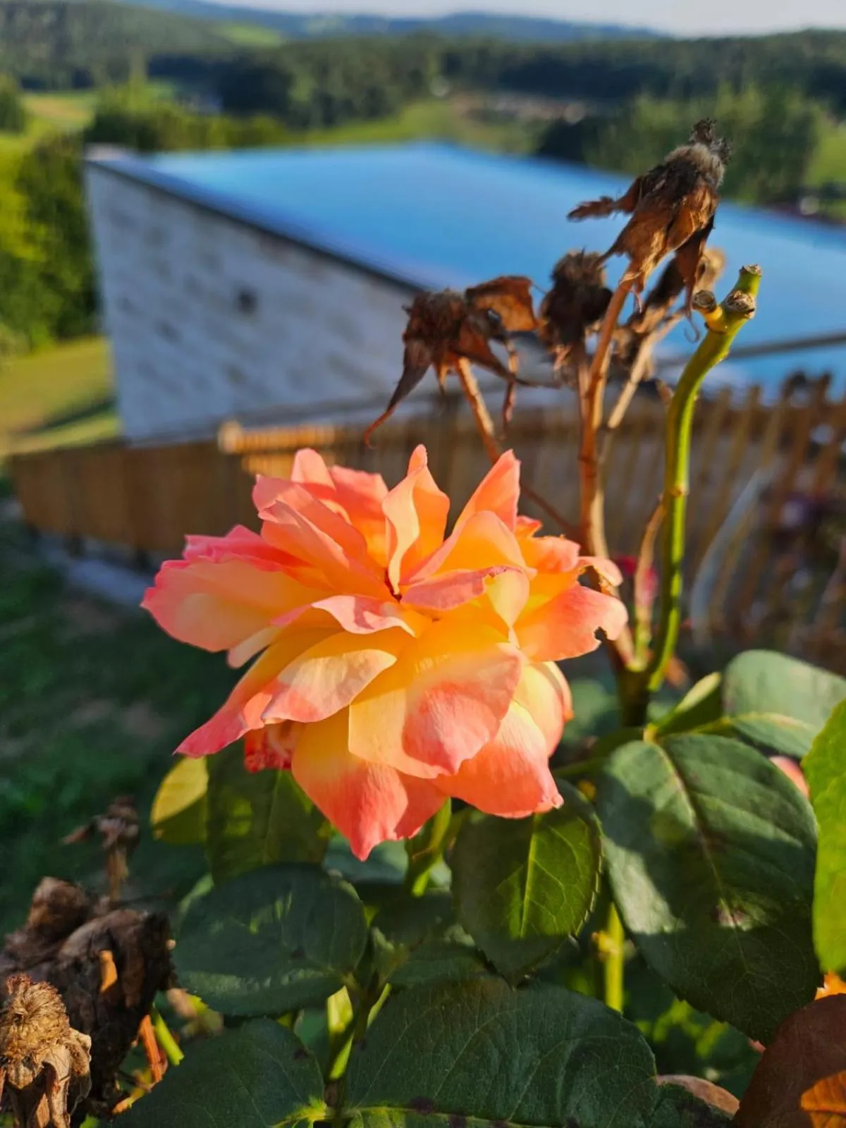 Spring in Klein Holland