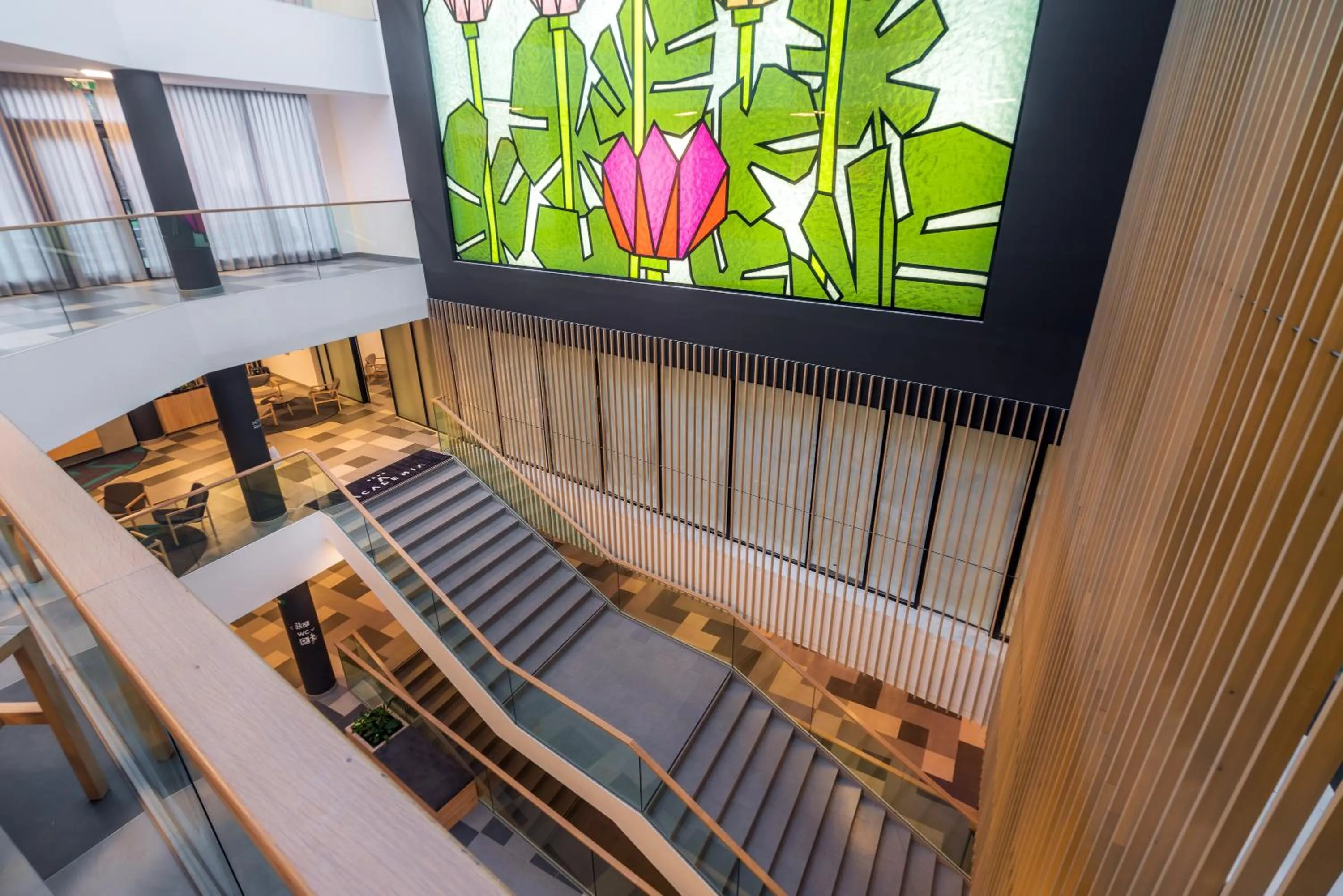 Bird's eye view in Hotel Academia