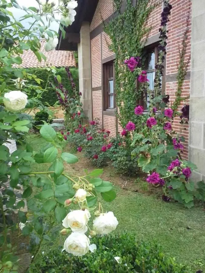 Apartamentos Arcadia