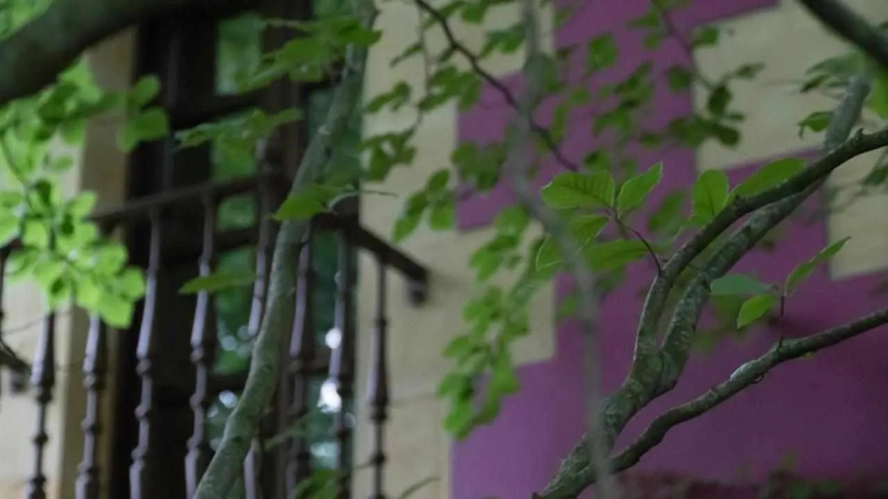 Apartamentos Arcadia