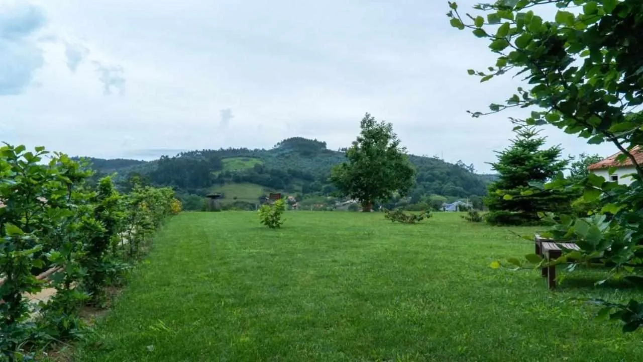 Apartamentos Arcadia