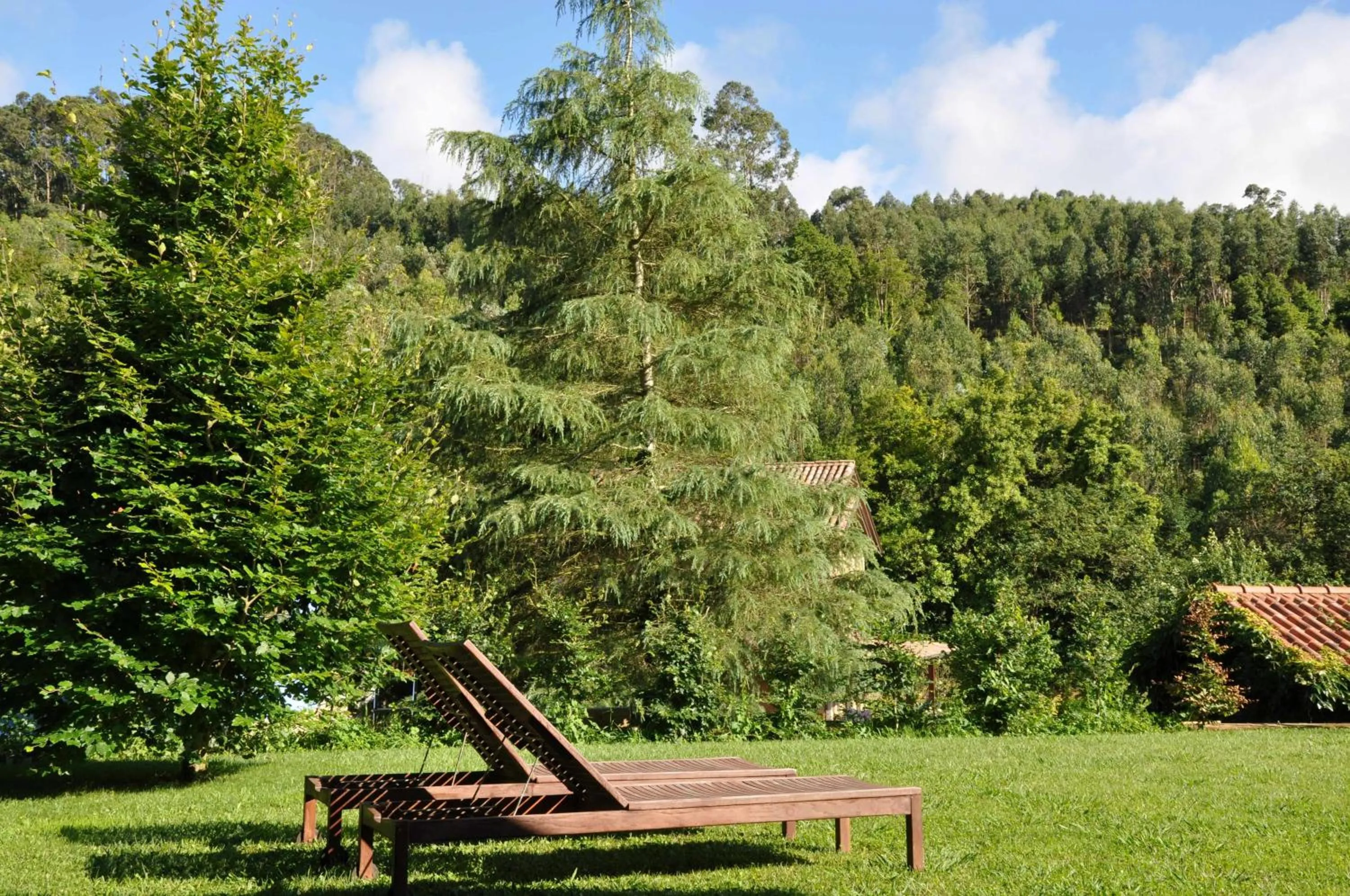 Garden in Apartamentos Arcadia