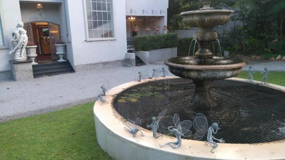 Garden in 29onTait Guest House