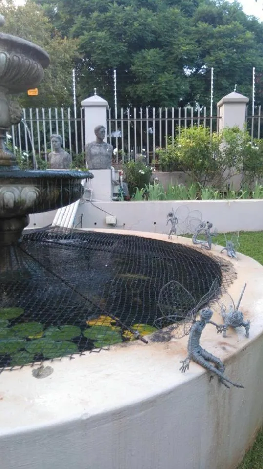 Garden in 29onTait Guest House