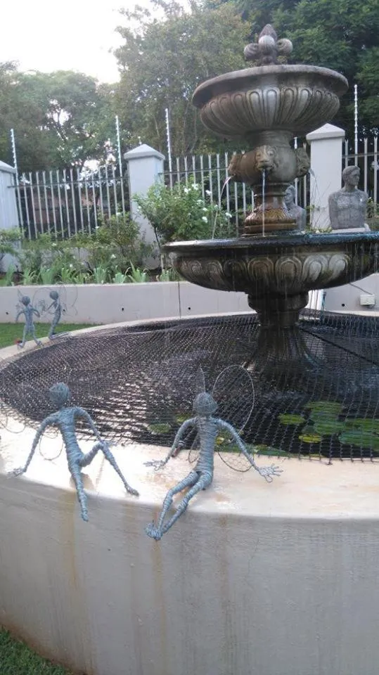 Garden in 29onTait Guest House