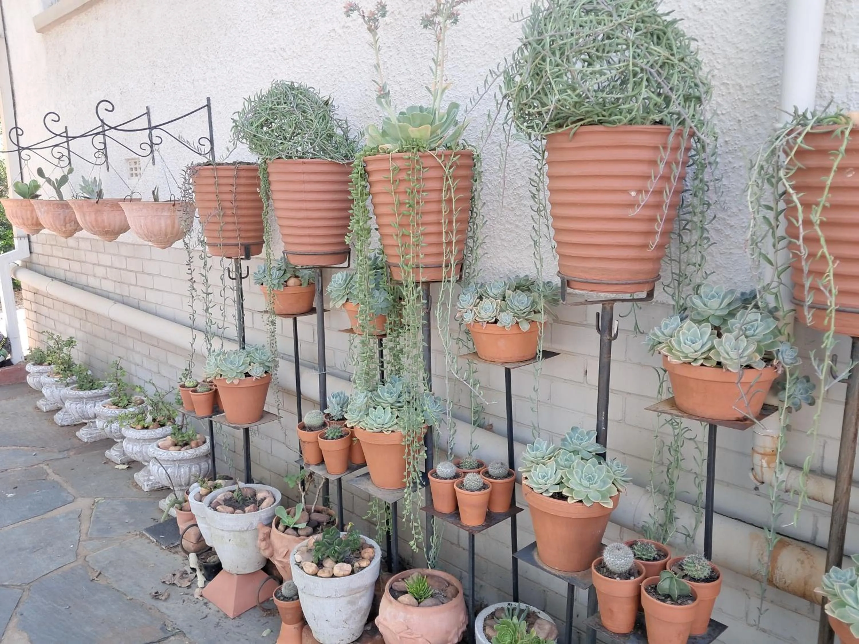 Garden in 29onTait Guest House