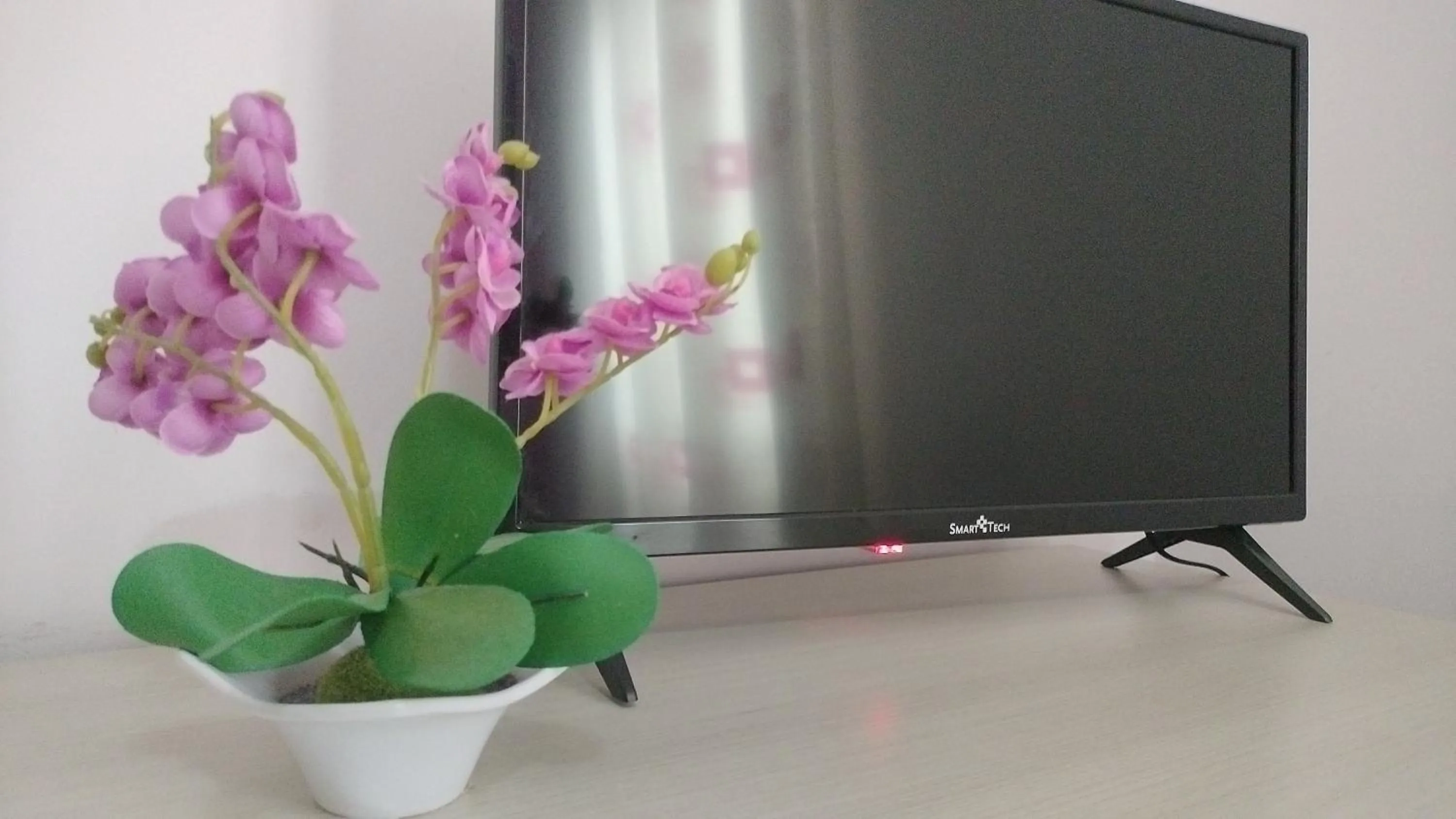 TV and multimedia in B&B Max