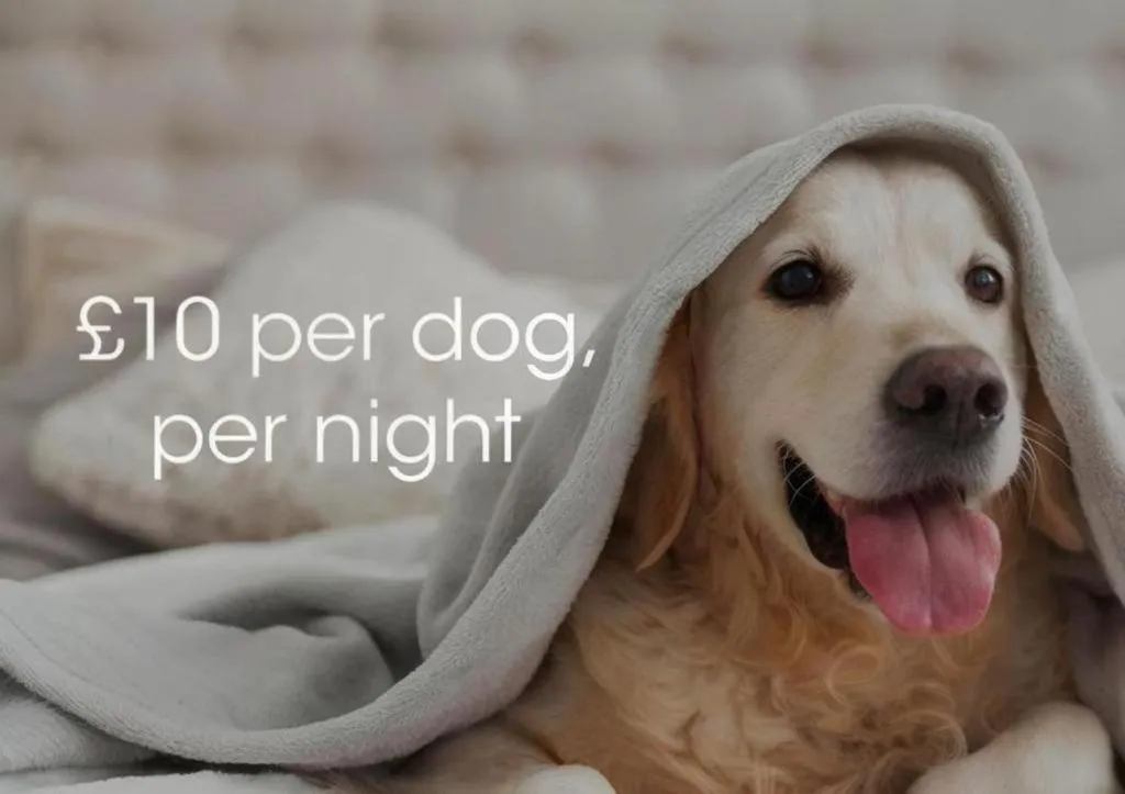 Bedroom in The Beresford Hotel