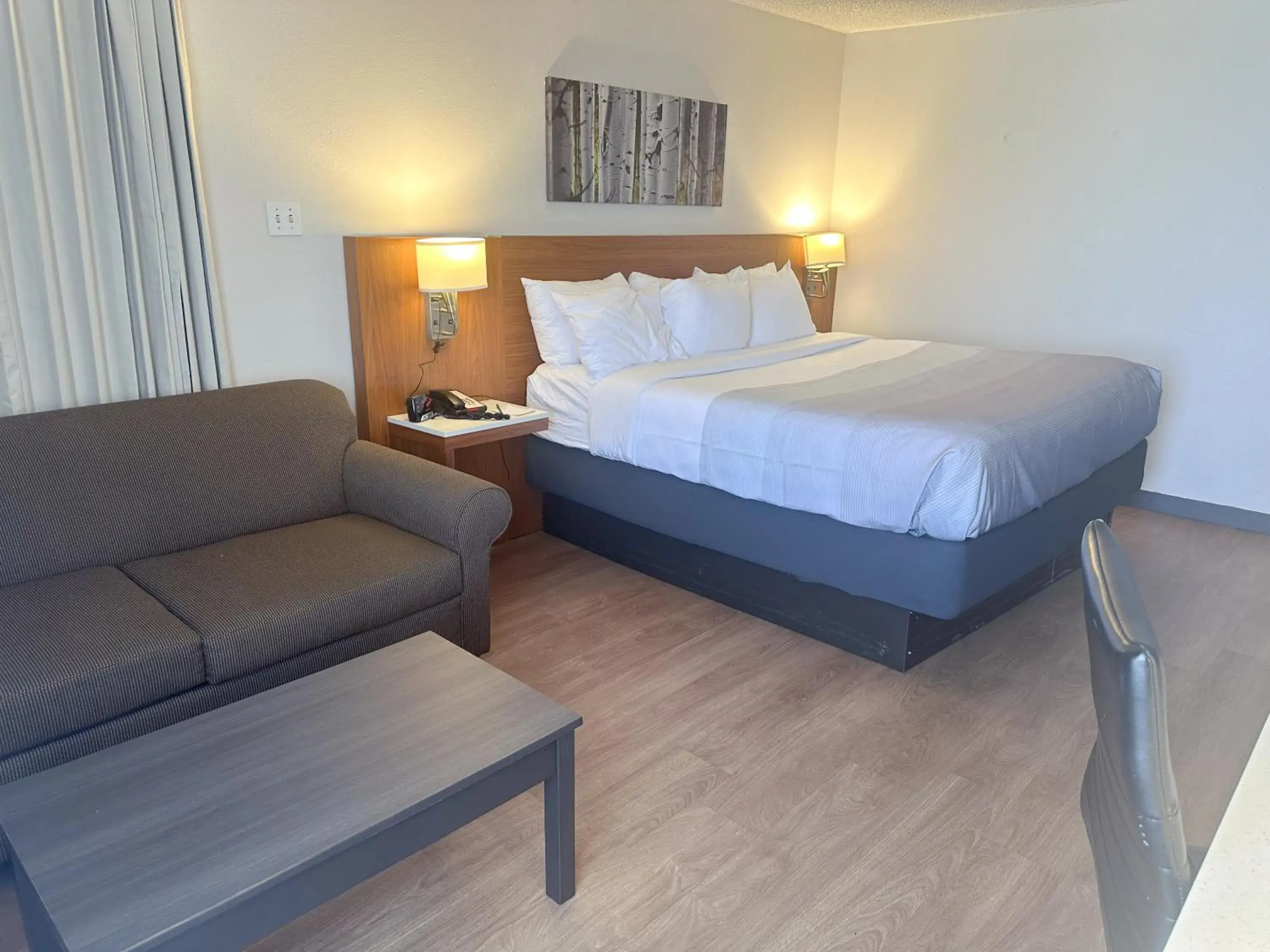 Standard King Room - Non-Smoking in Quality Inn & Suites Fort Collins East Standard King Room - Non-Smoking in Quality Inn & Suites Fort Collins East