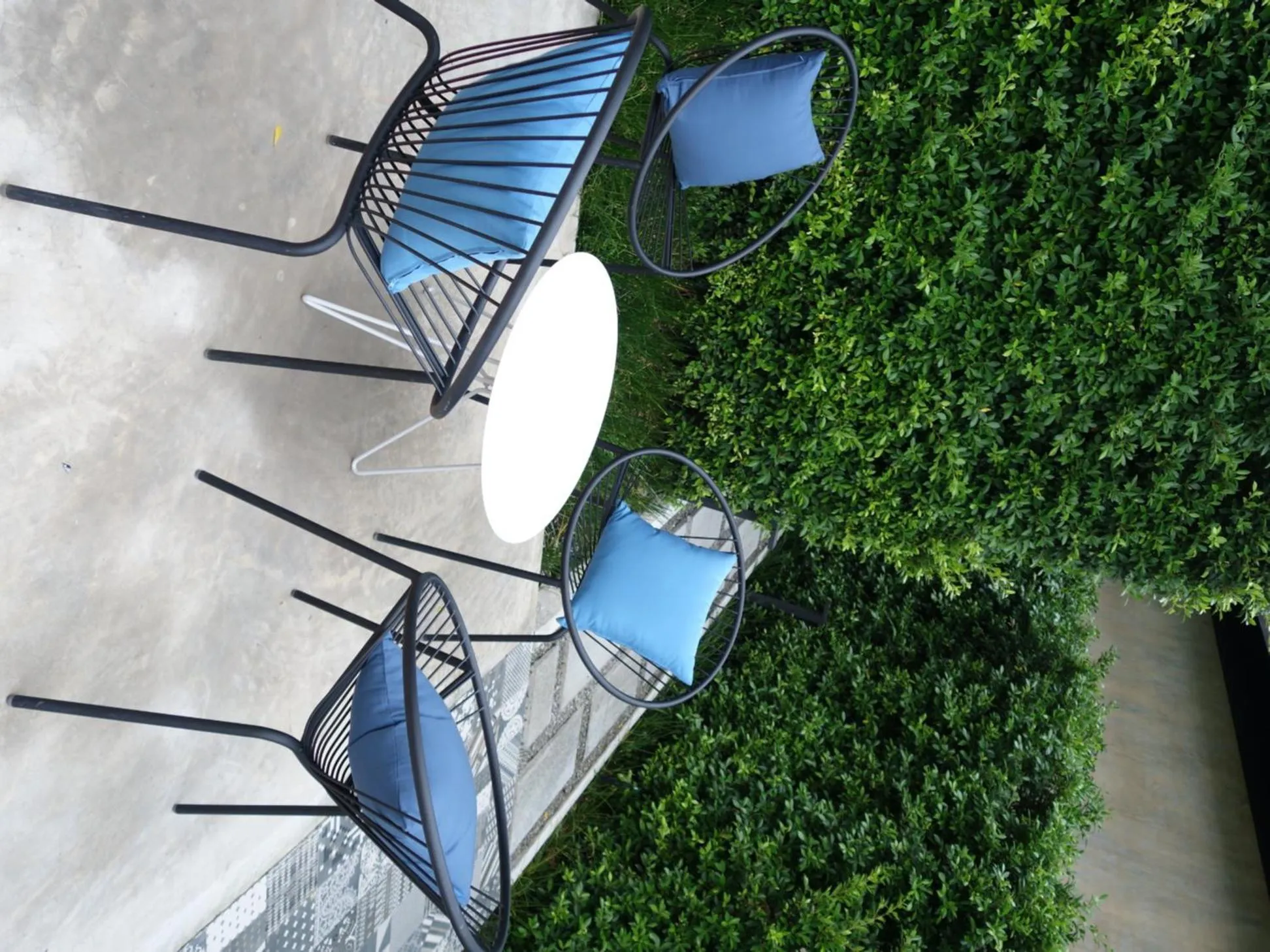 Garden in The Restro