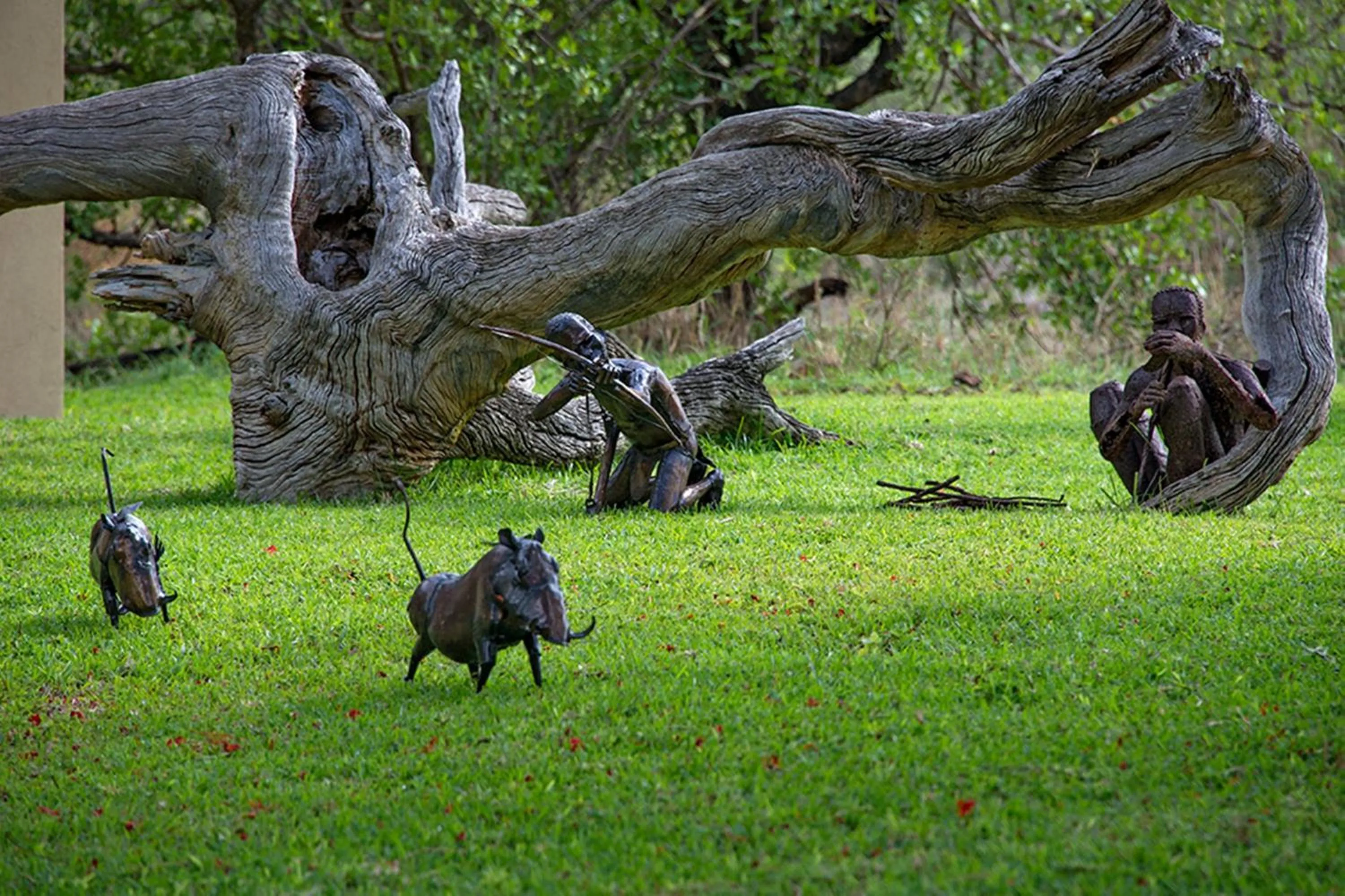 View (from property/room) in Makumu Private Game Lodge