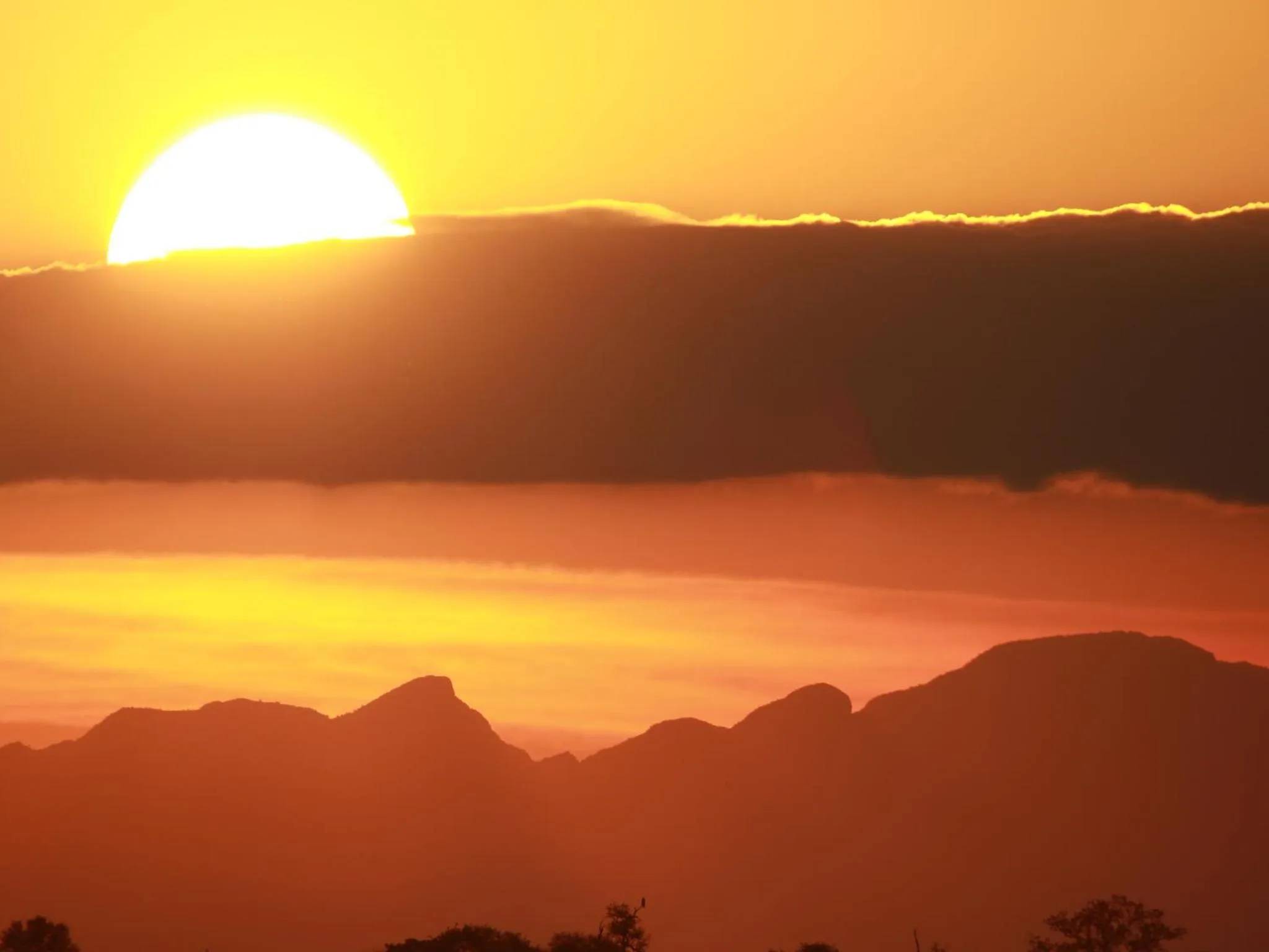 Natural landscape in Makumu Private Game Lodge