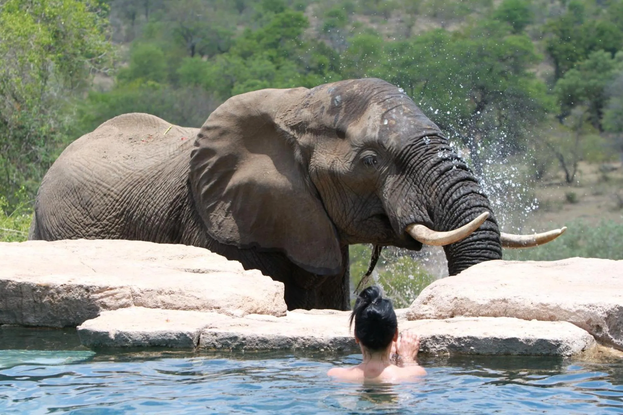 Activities in Makumu Private Game Lodge