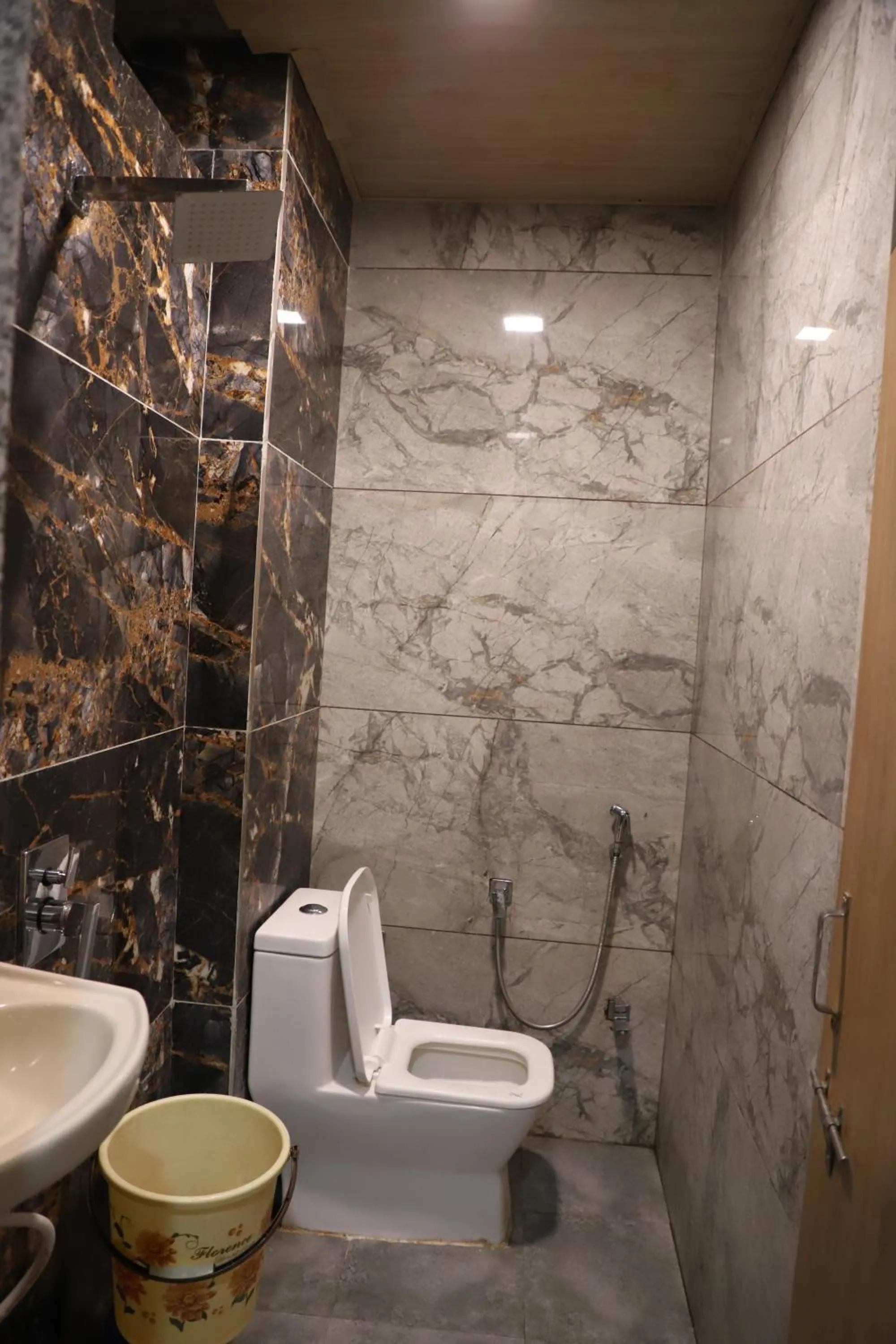 Shower in Hotel Mittal Inn