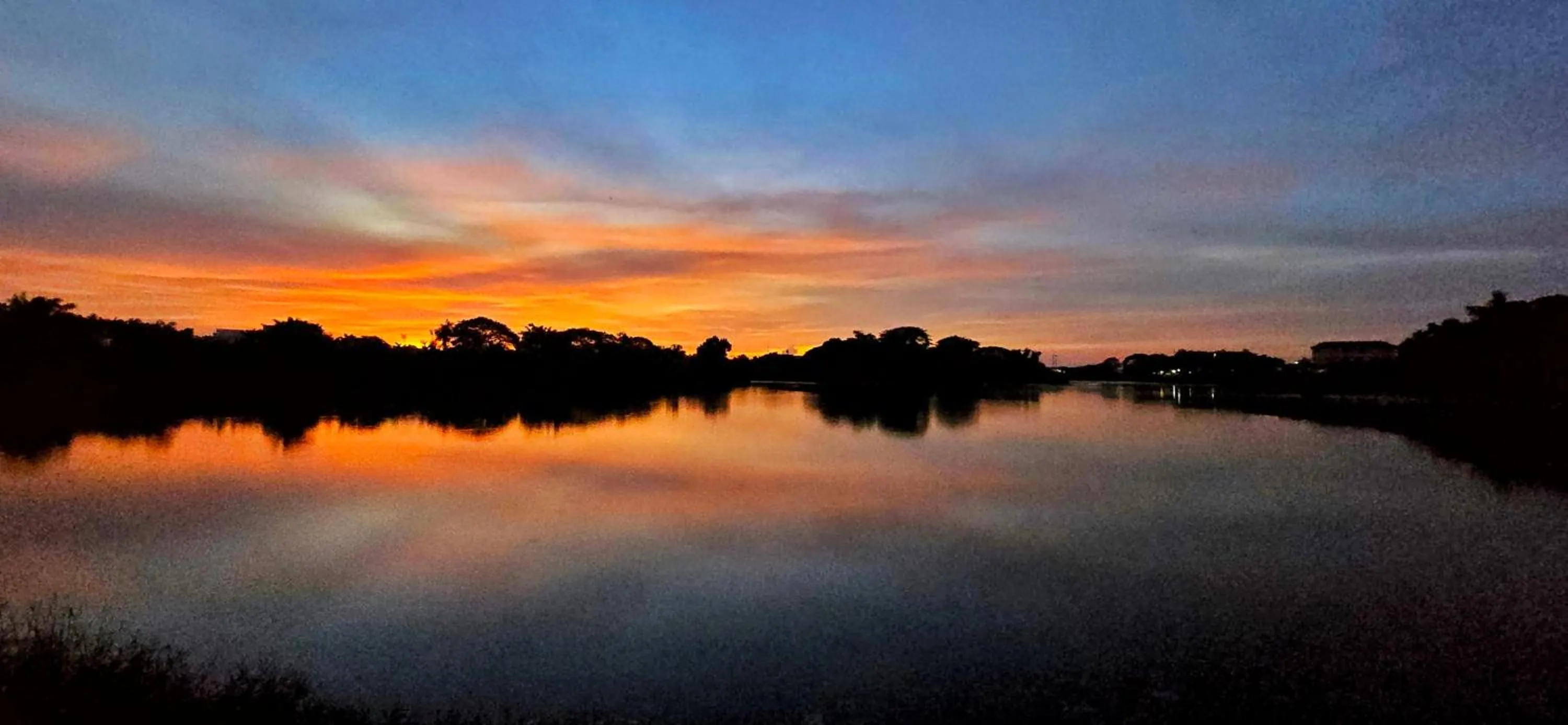 Garden in Tiny Island Lake Lodge