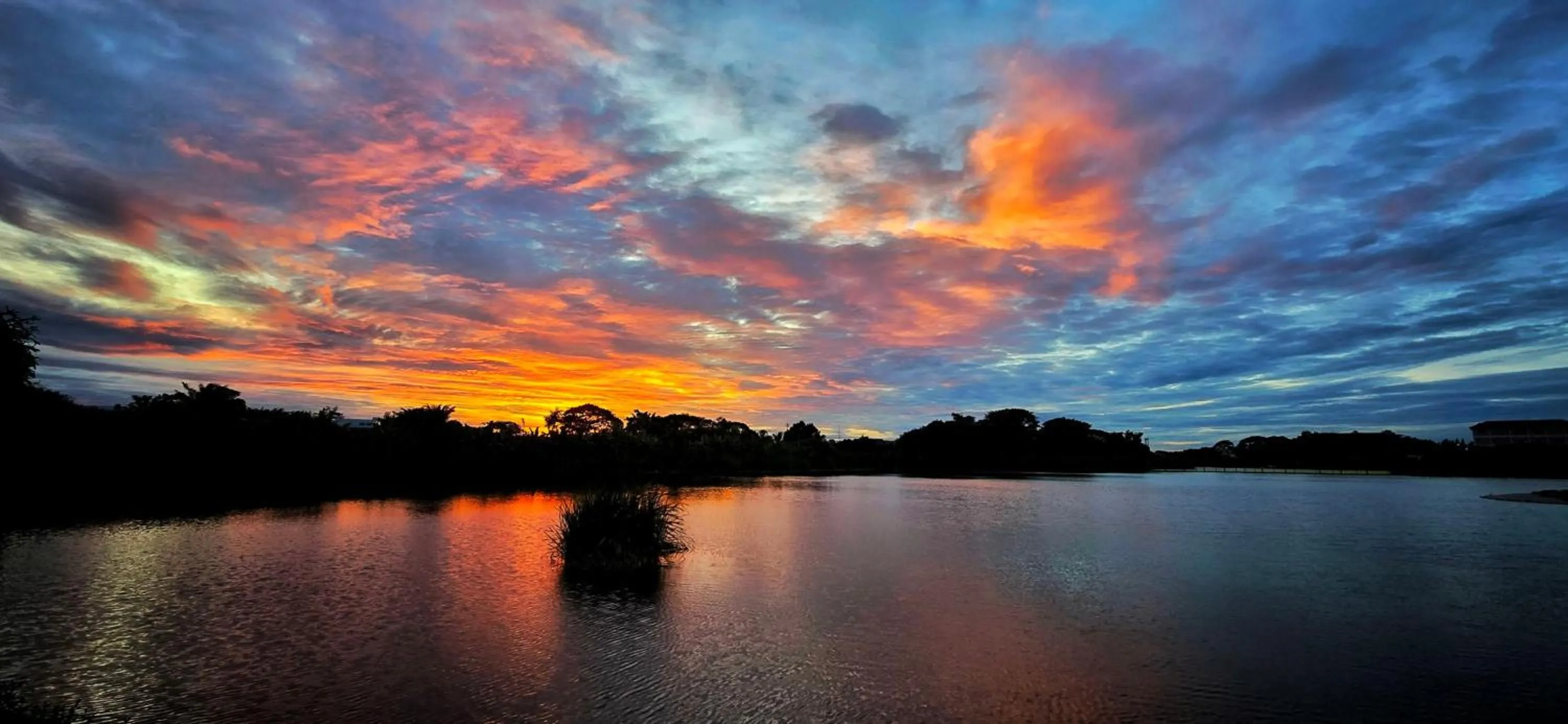 Garden in Tiny Island Lake Lodge