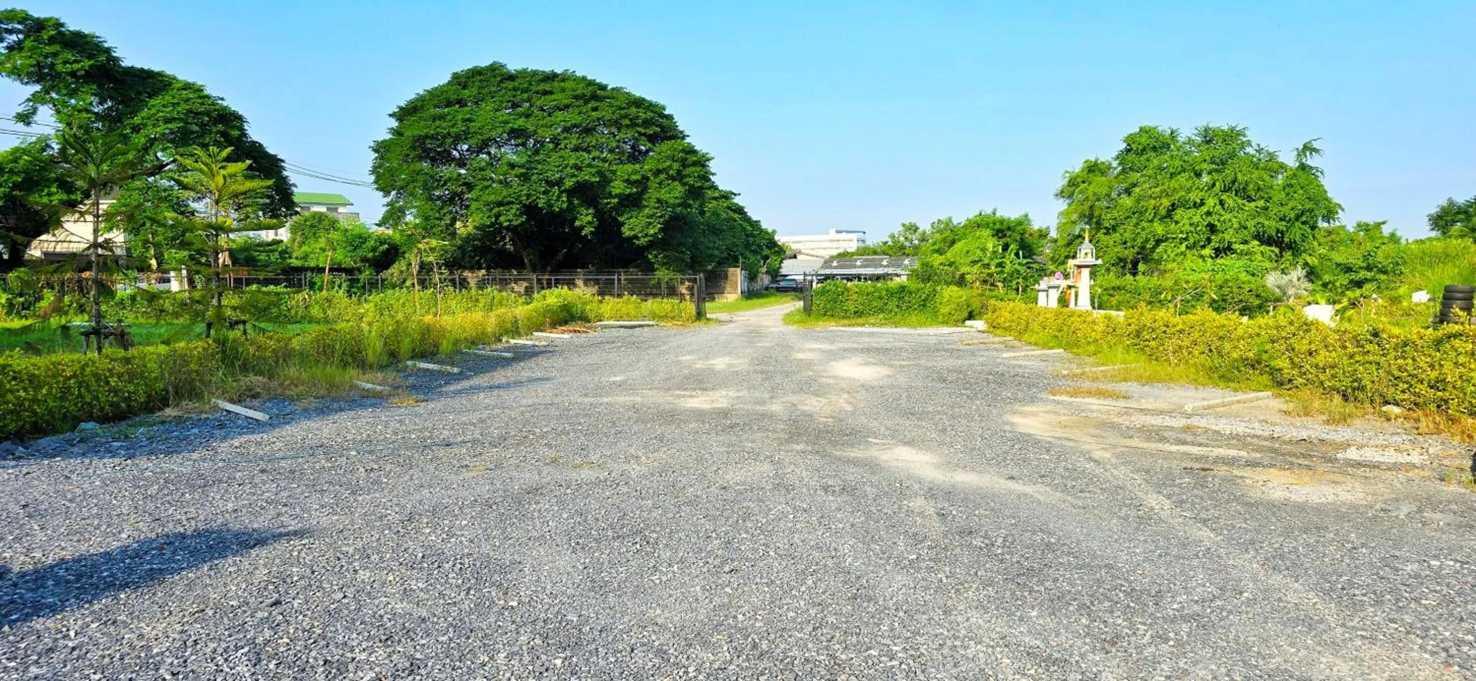 View (from property/room) in Tiny Island Lake Lodge
