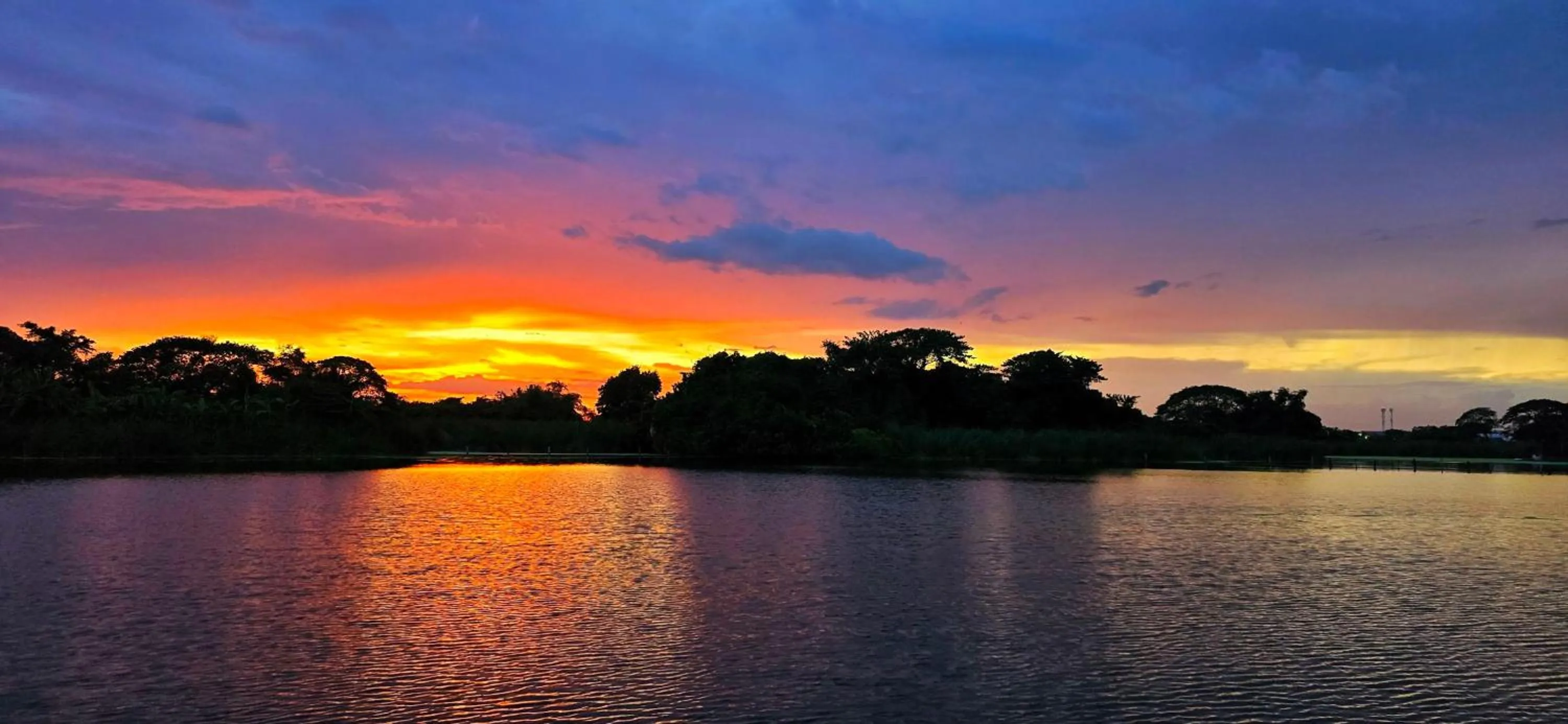 Garden in Tiny Island Lake Lodge