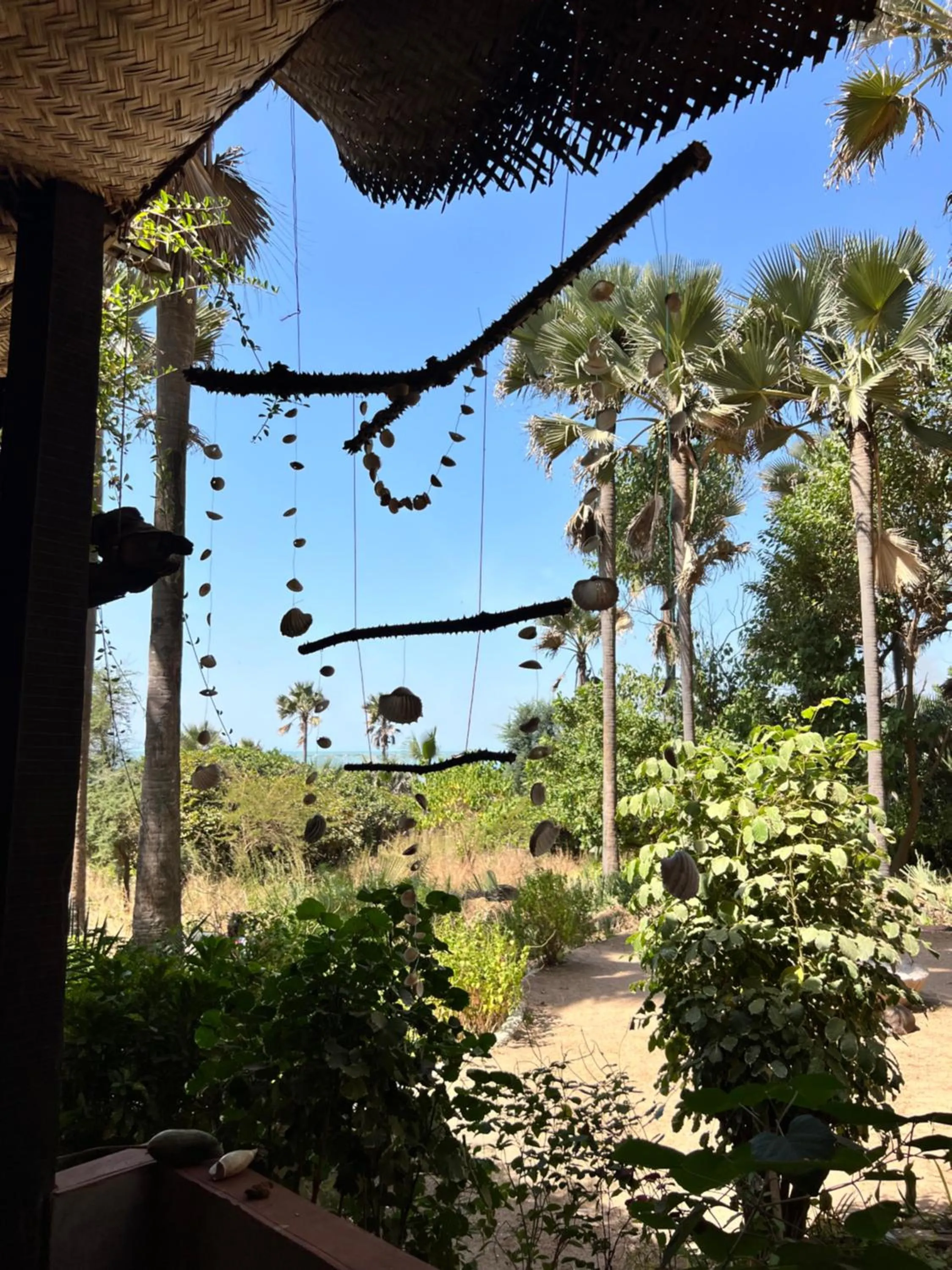 Property building in Nemasu Eco-lodge