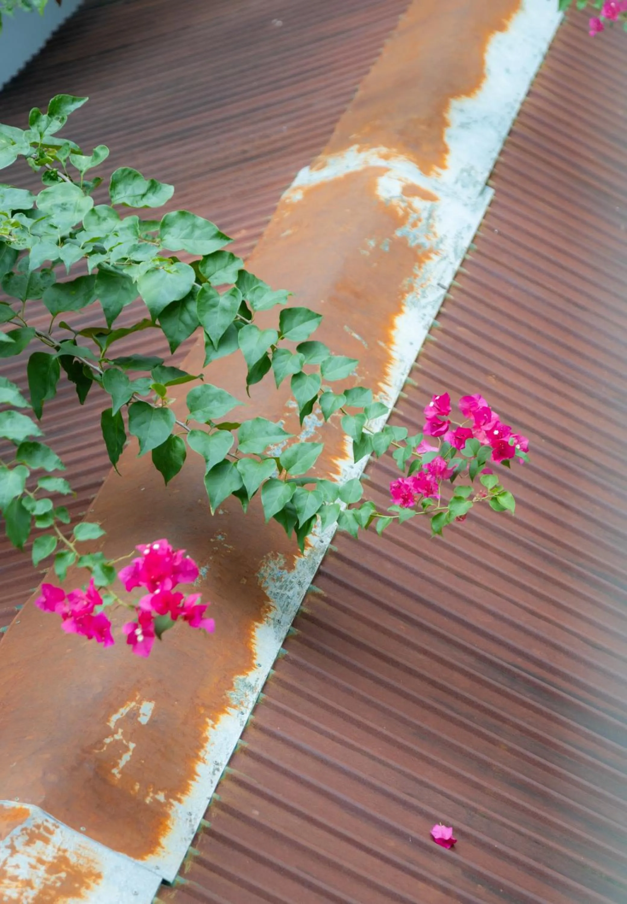 On site in Peaceful Hotel