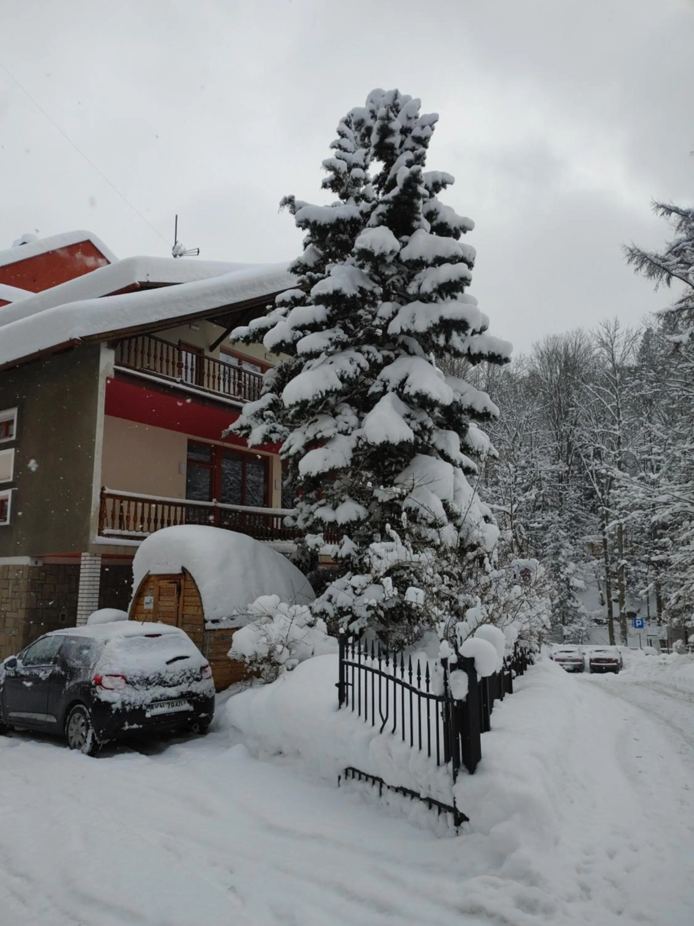 Willa M cisza w centrum miasta