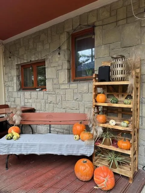 Willa M cisza w centrum miasta