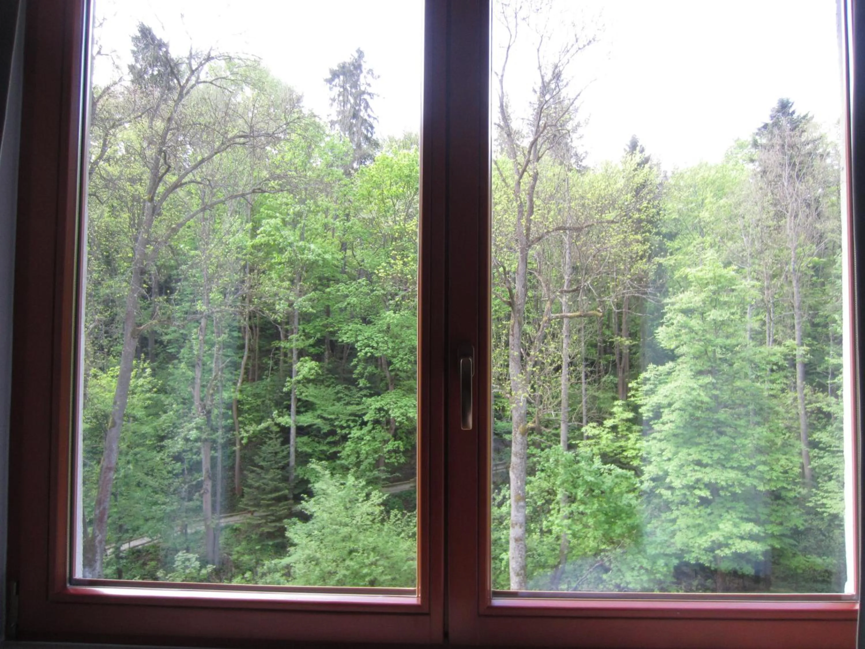 Willa M cisza w centrum miasta