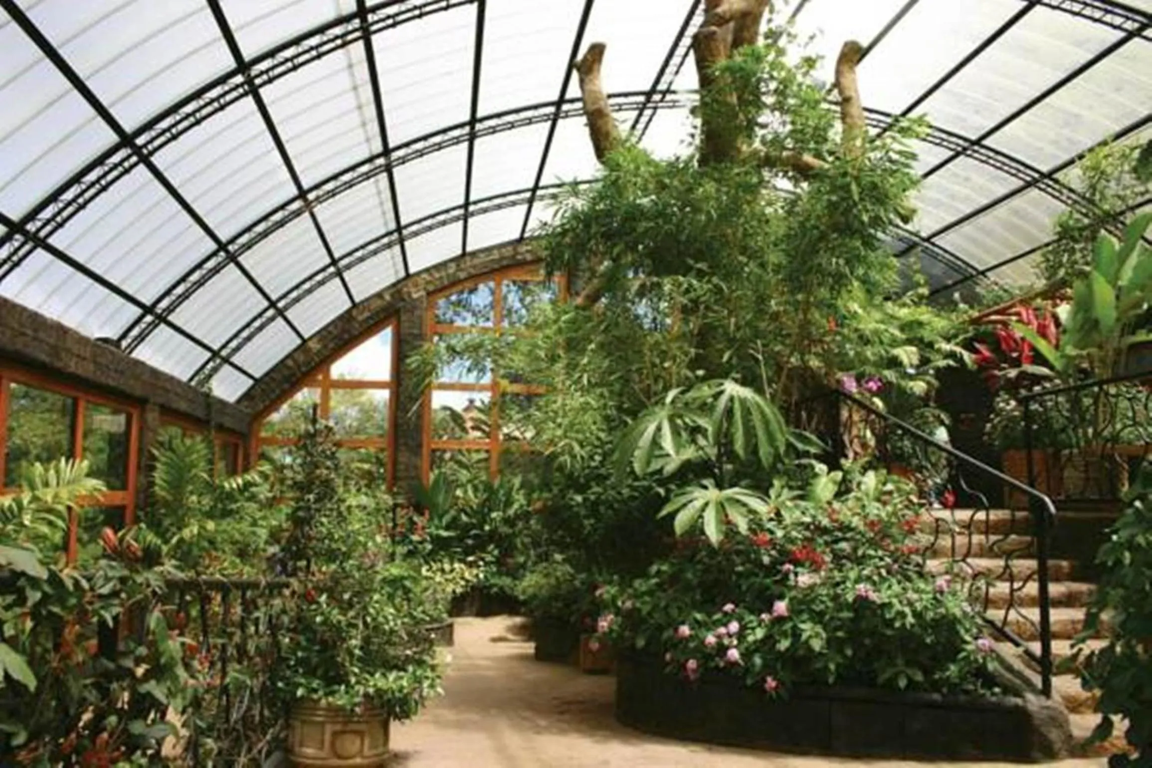 Other in Peace Lodge