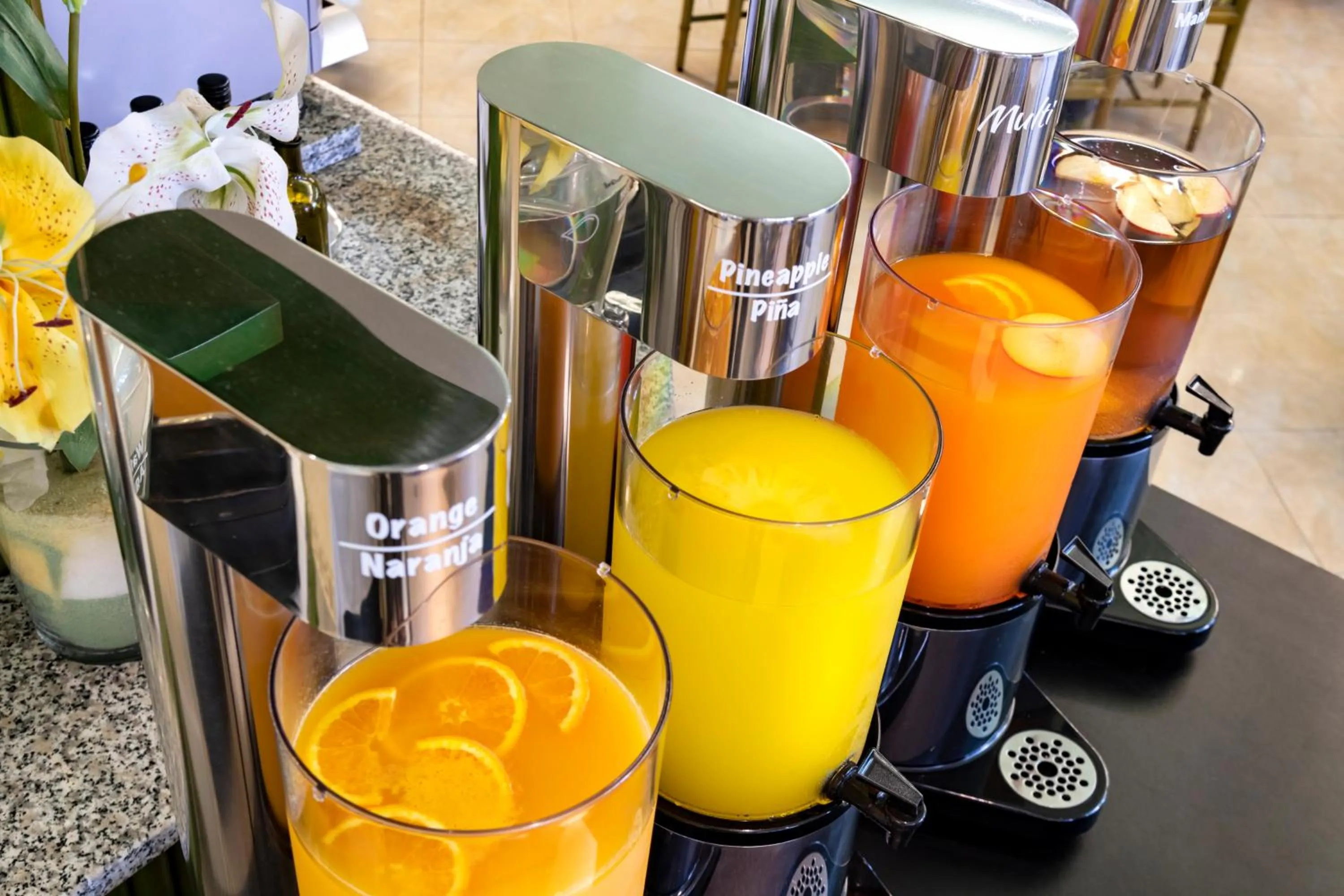 Breakfast in Tropic Park